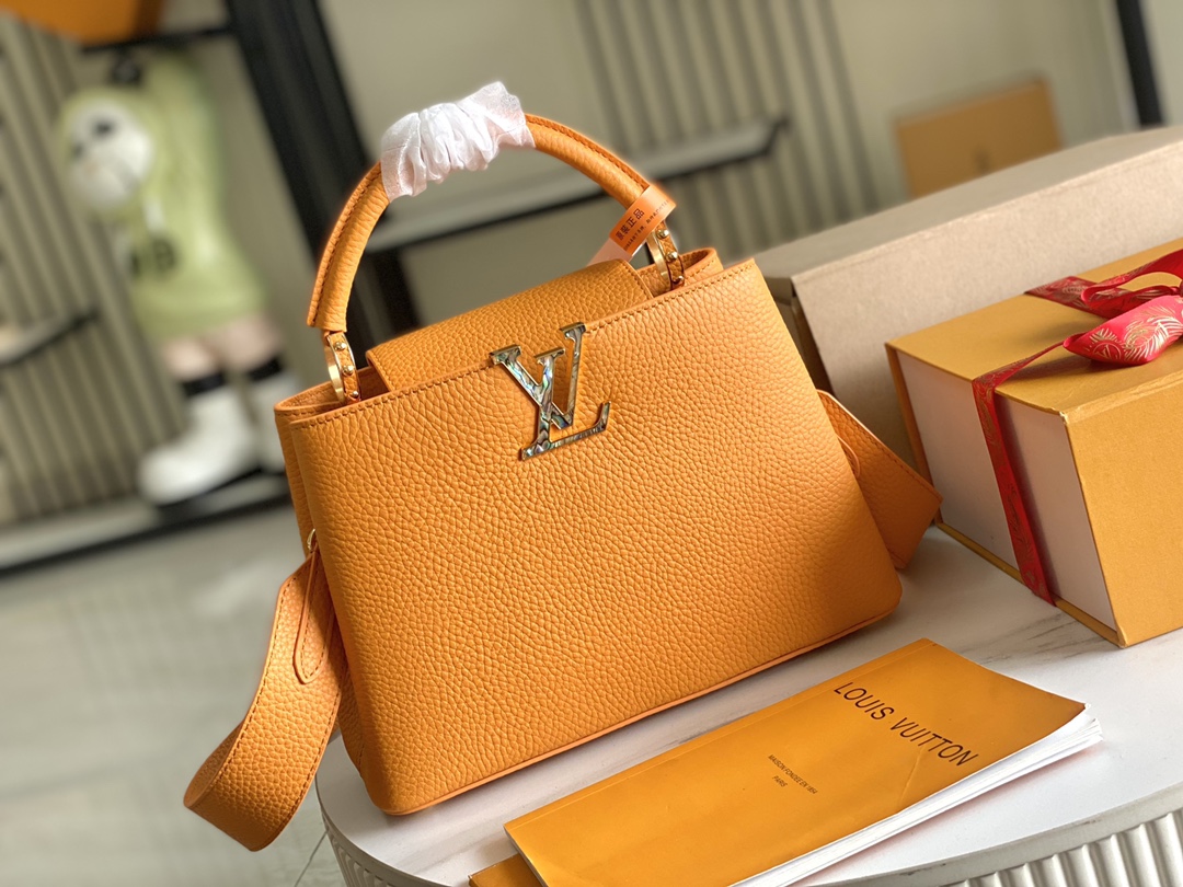 LV Bag