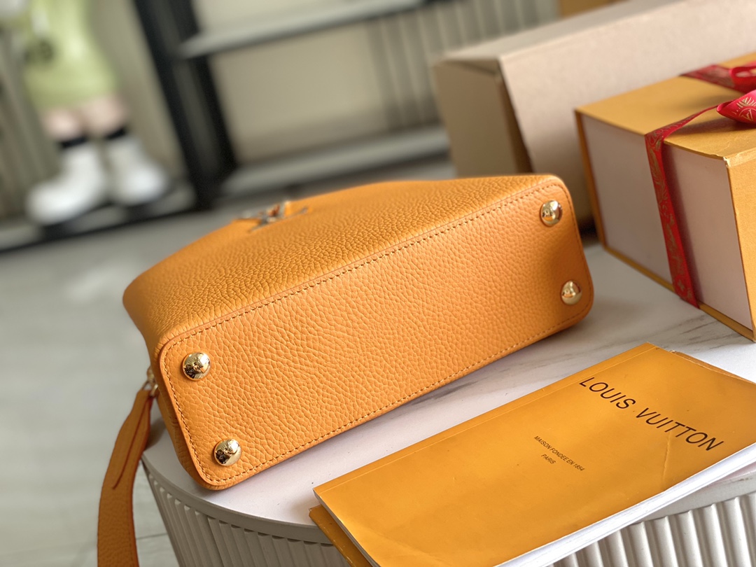 LV Bag