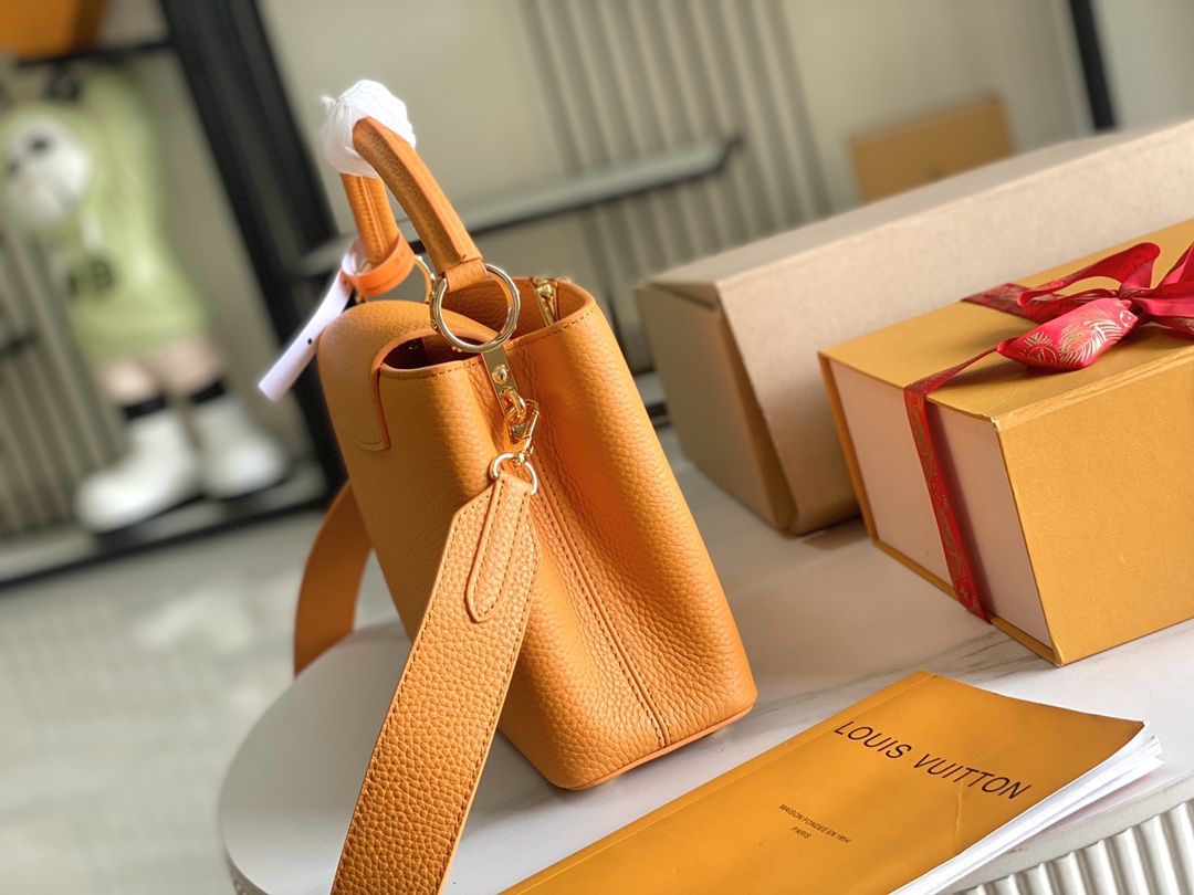 LV Bag