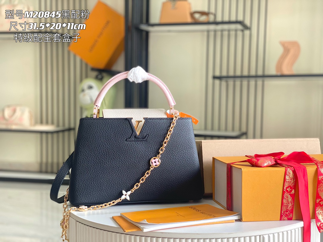 LV Bag