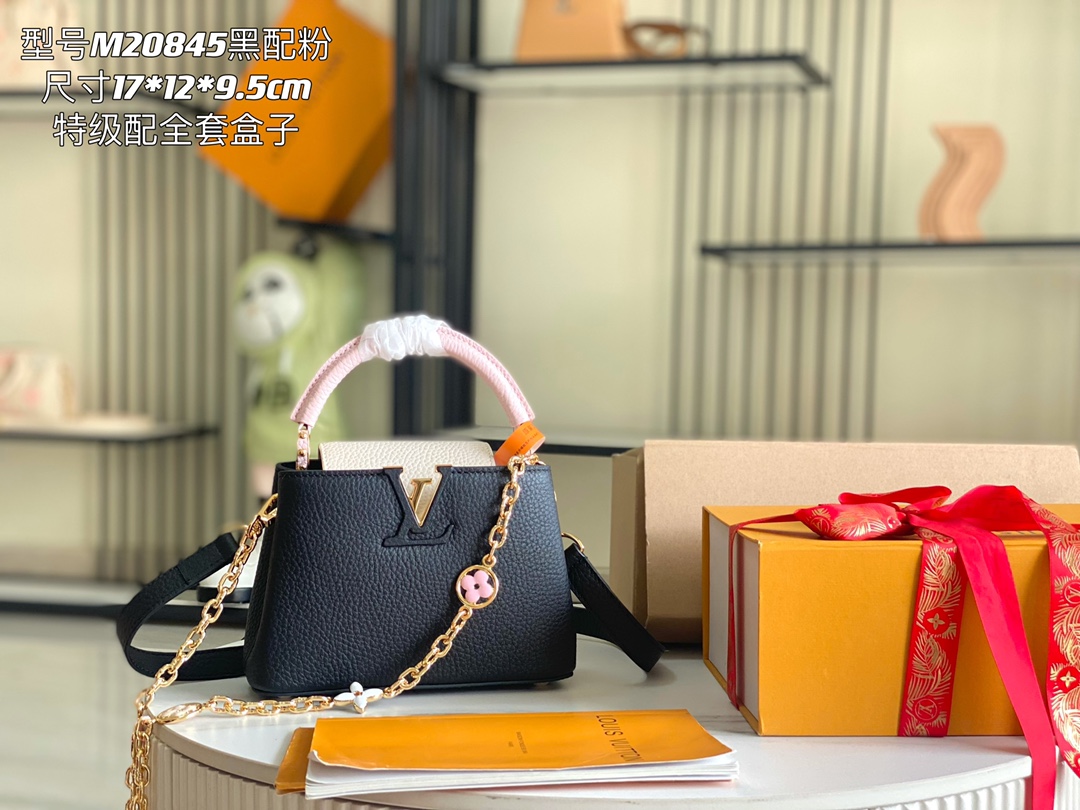LV Bag