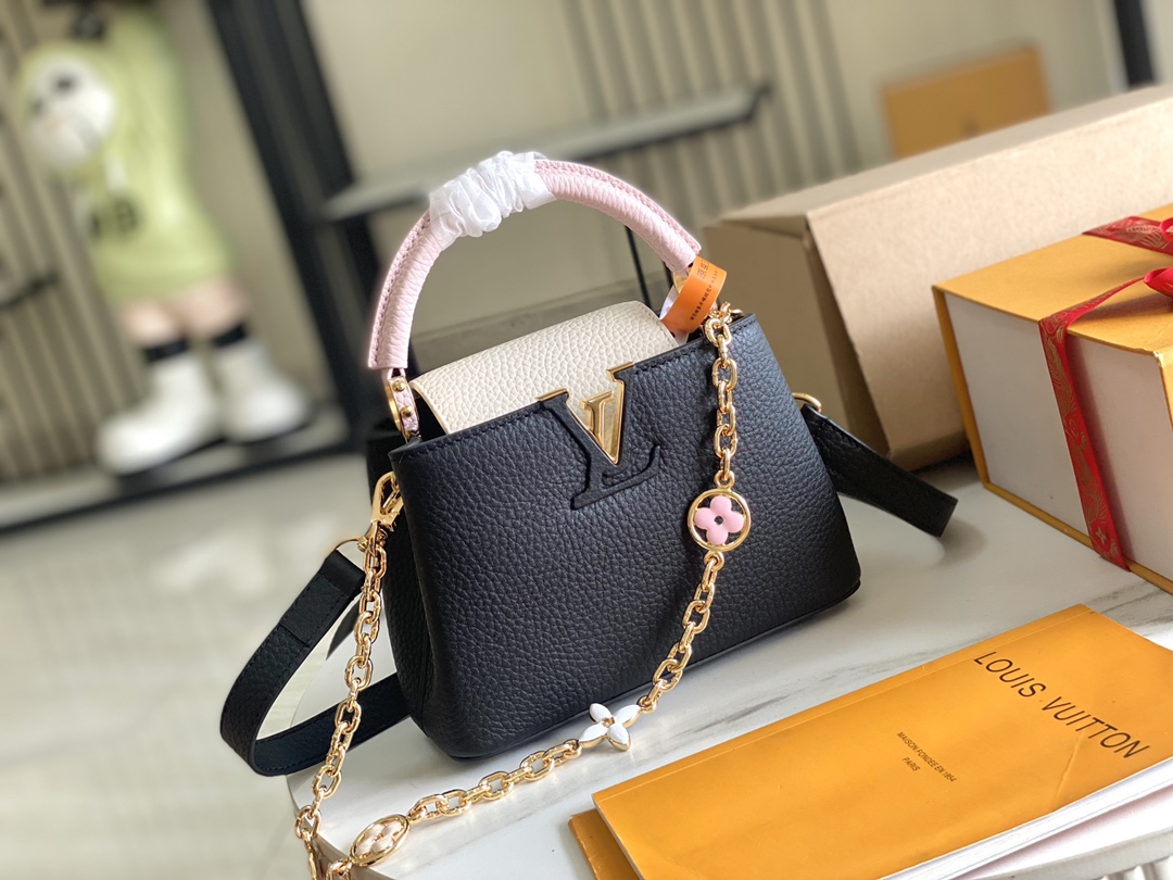LV Bag