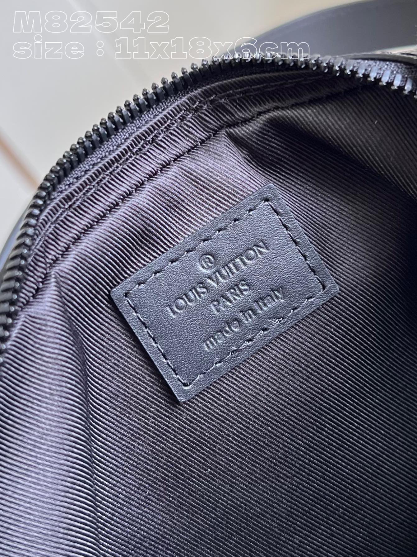 LV Bag