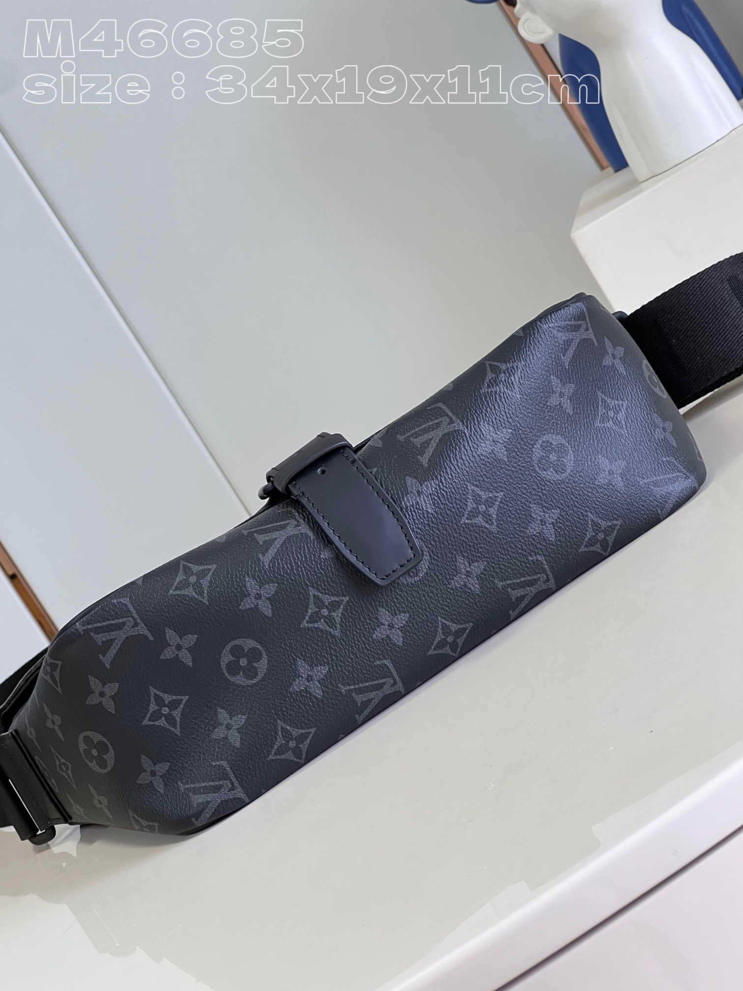 LV Bag