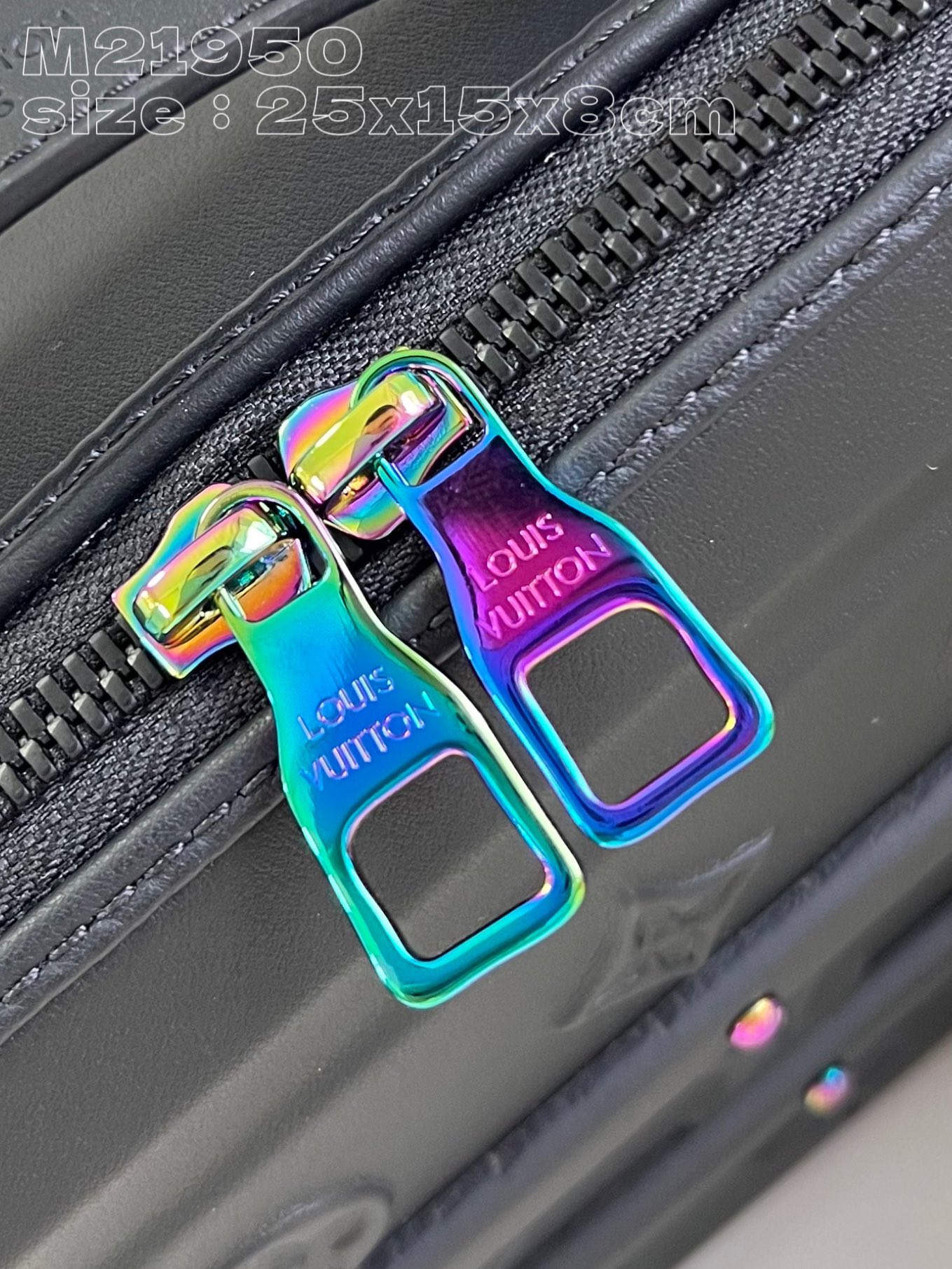 LV Bag