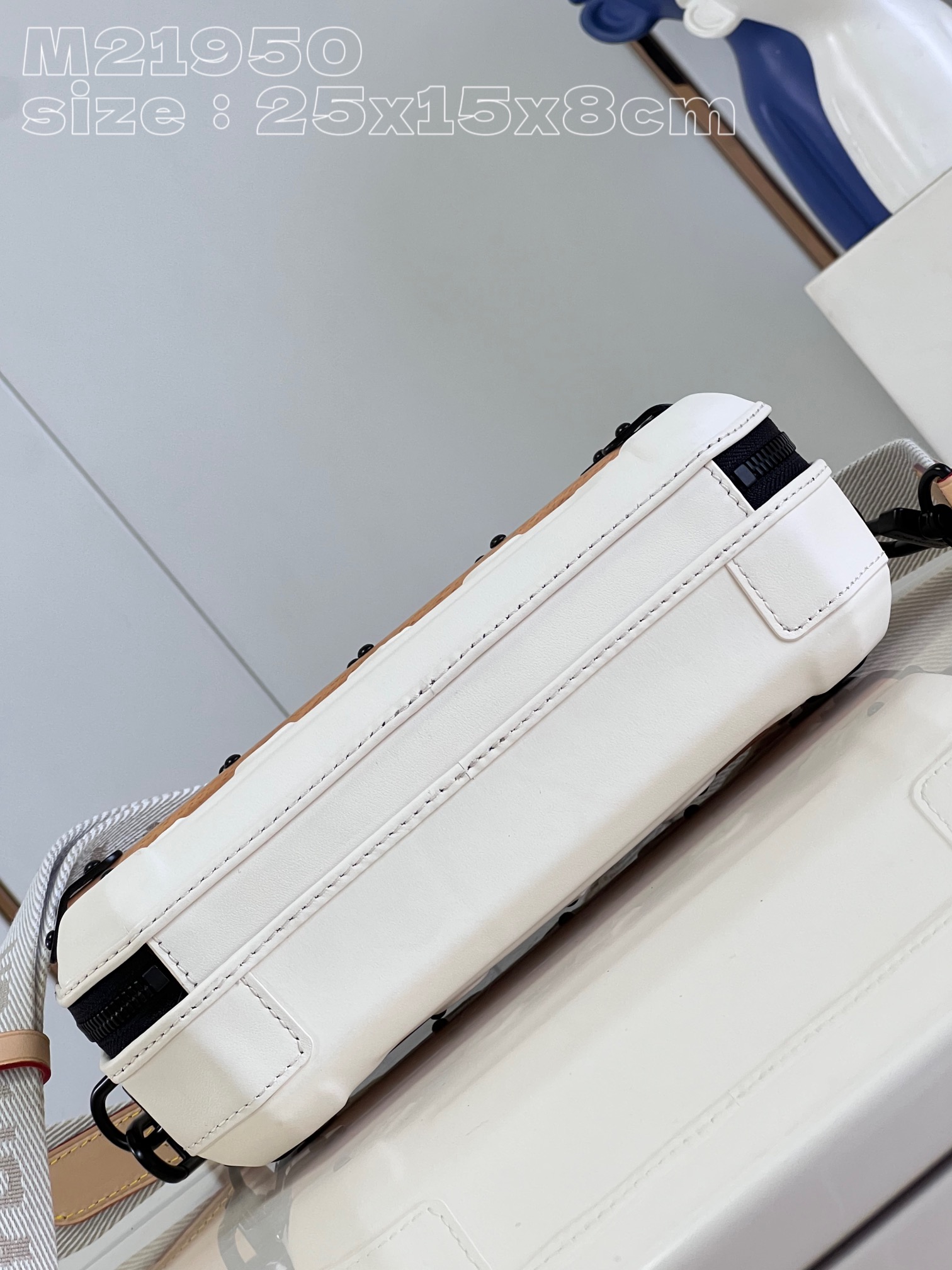 LV Bag