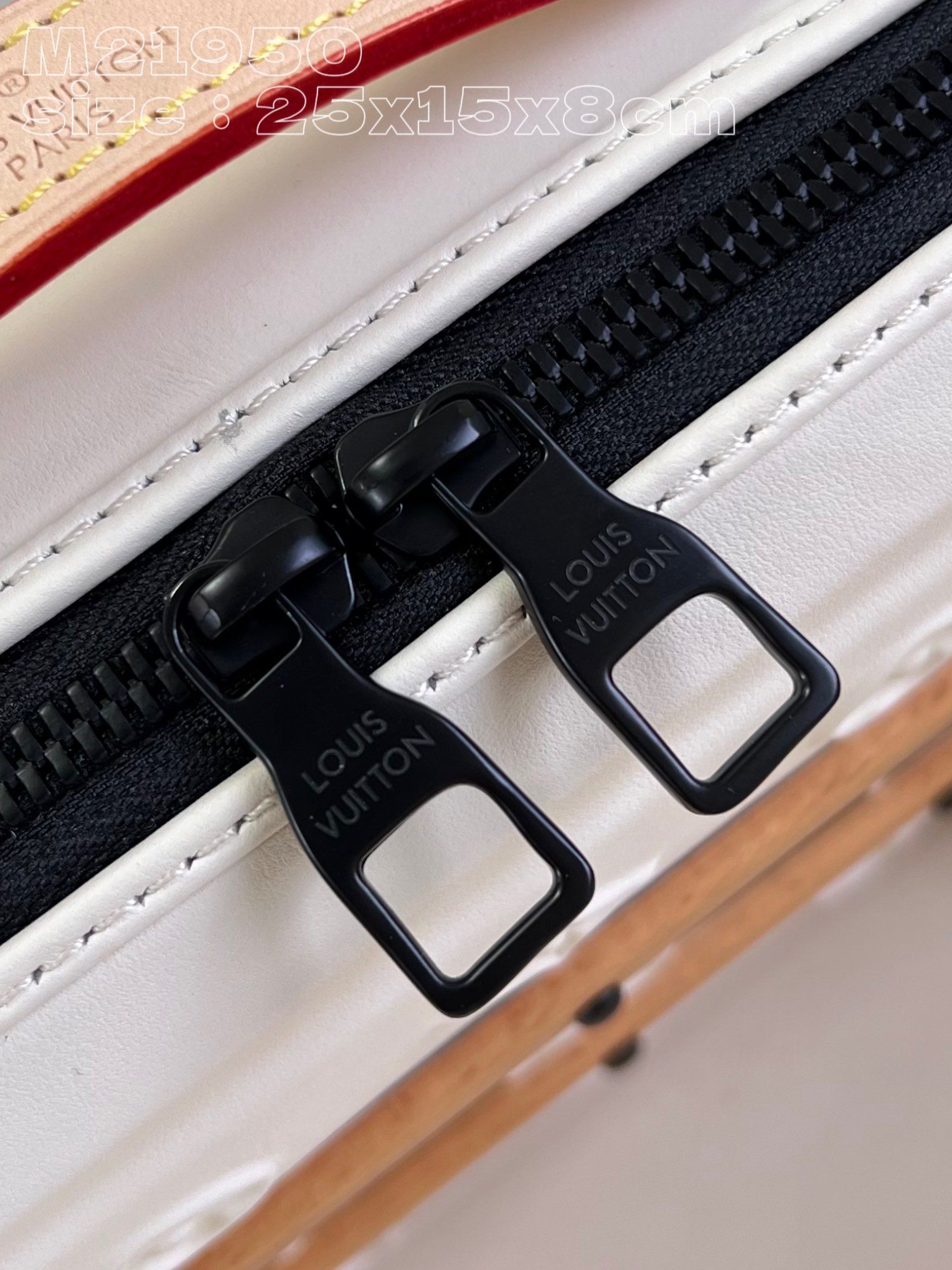 LV Bag