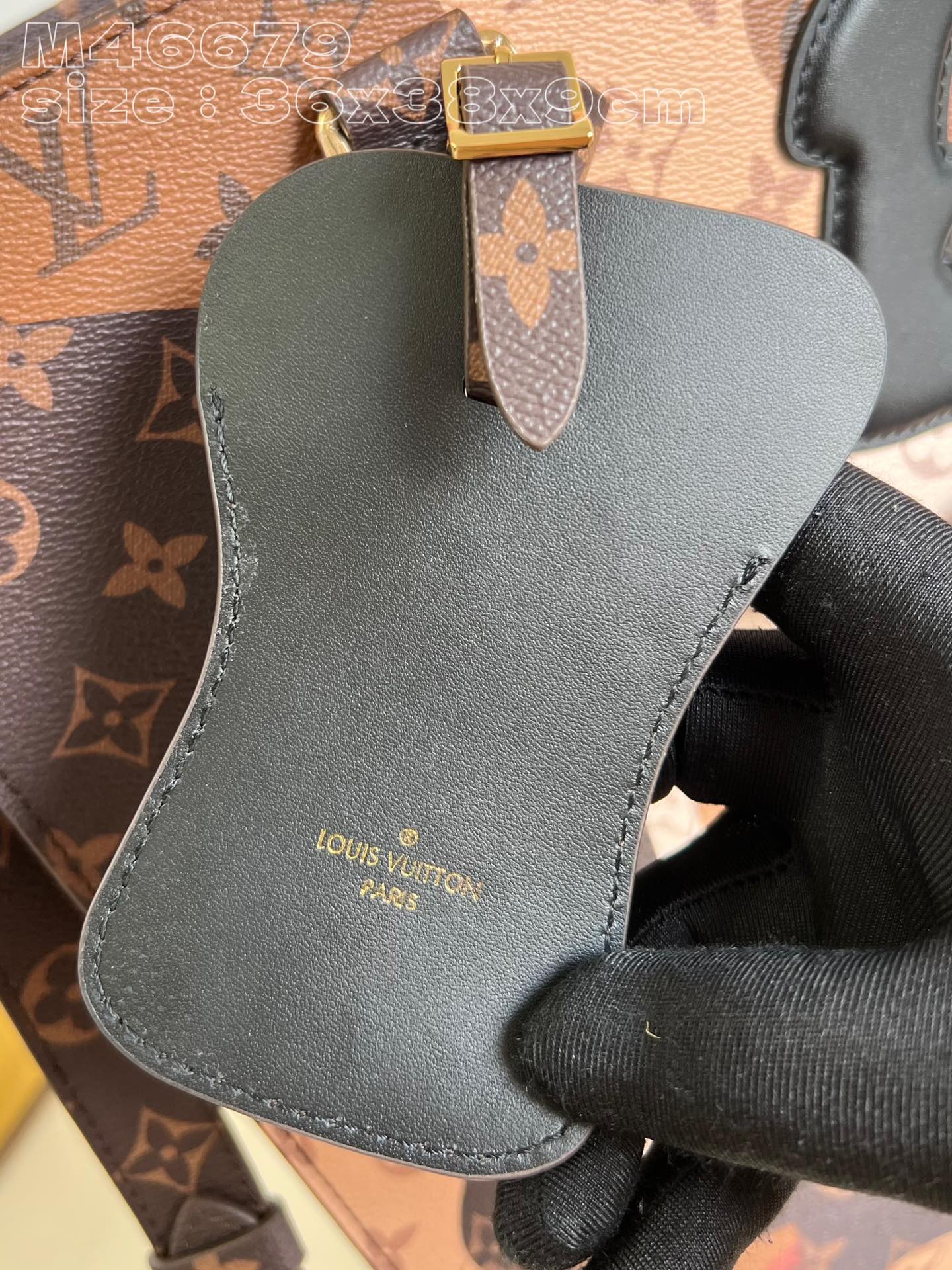 LV Bag