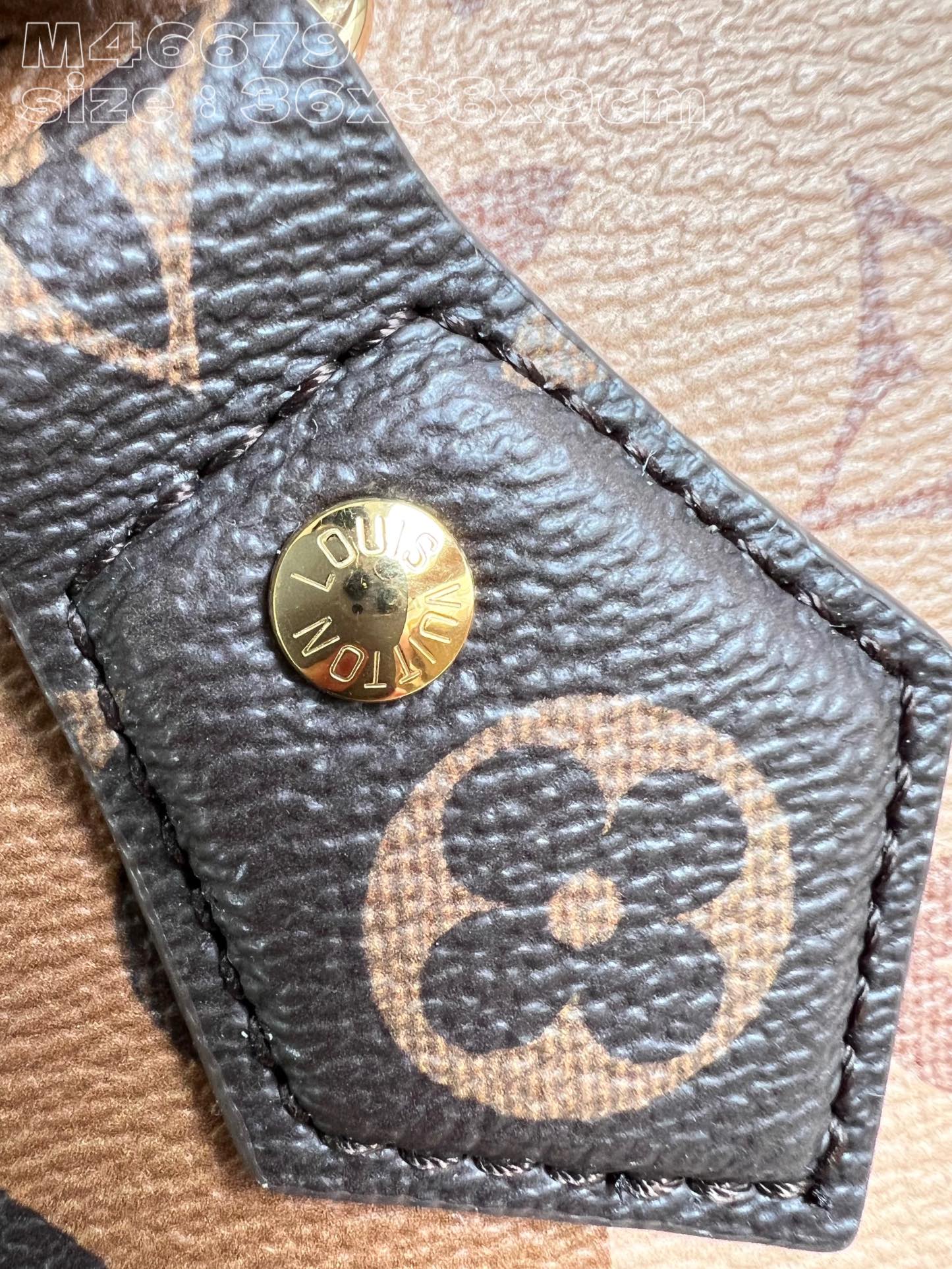 LV Bag