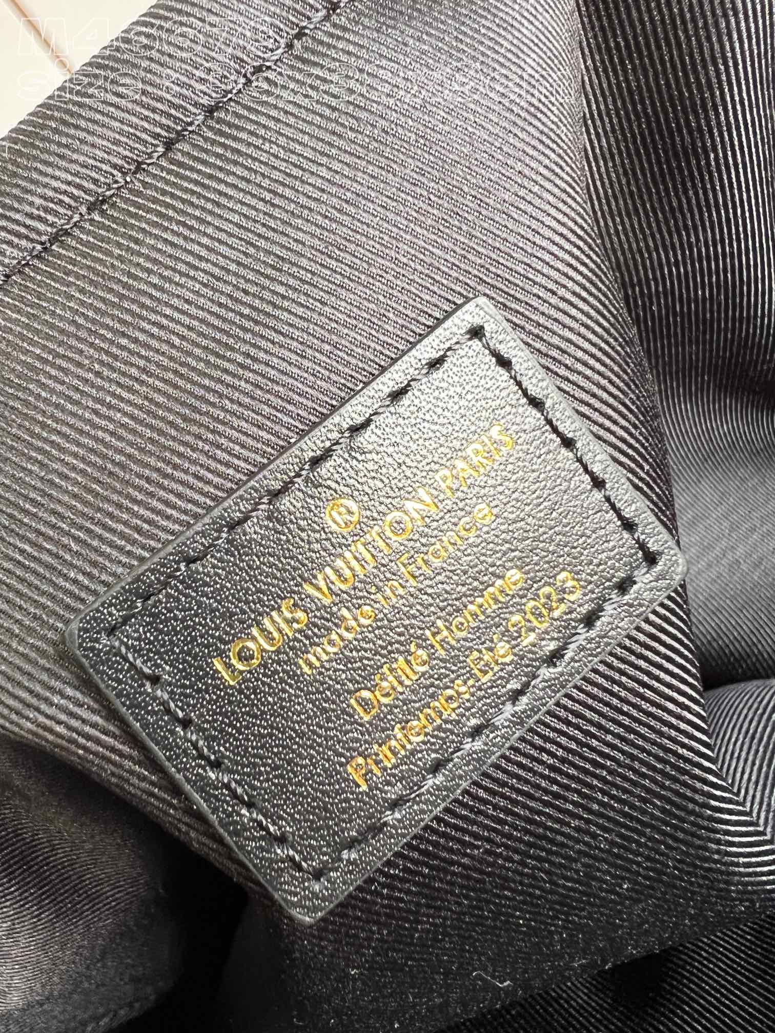 LV Bag
