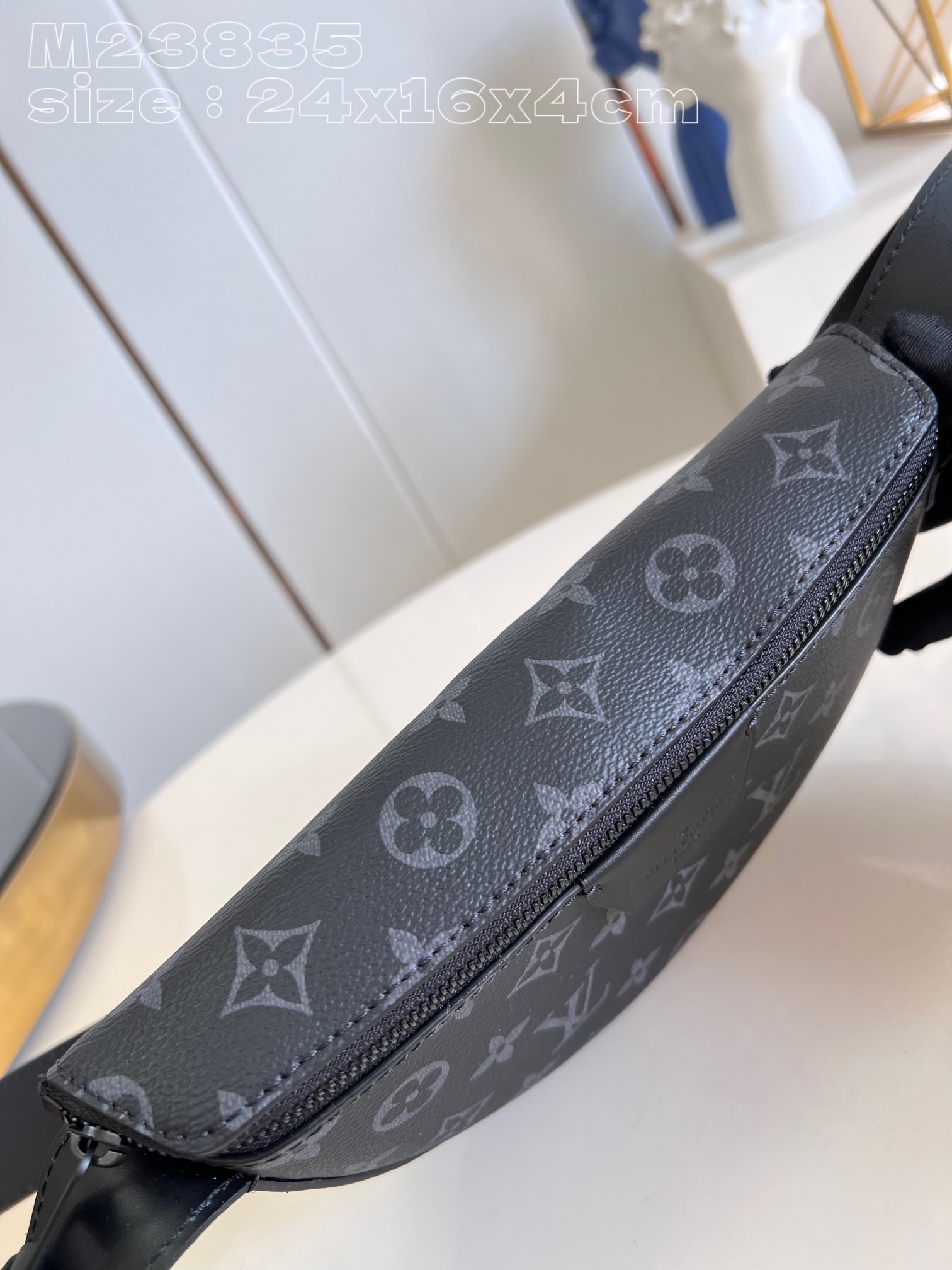 LV Bag