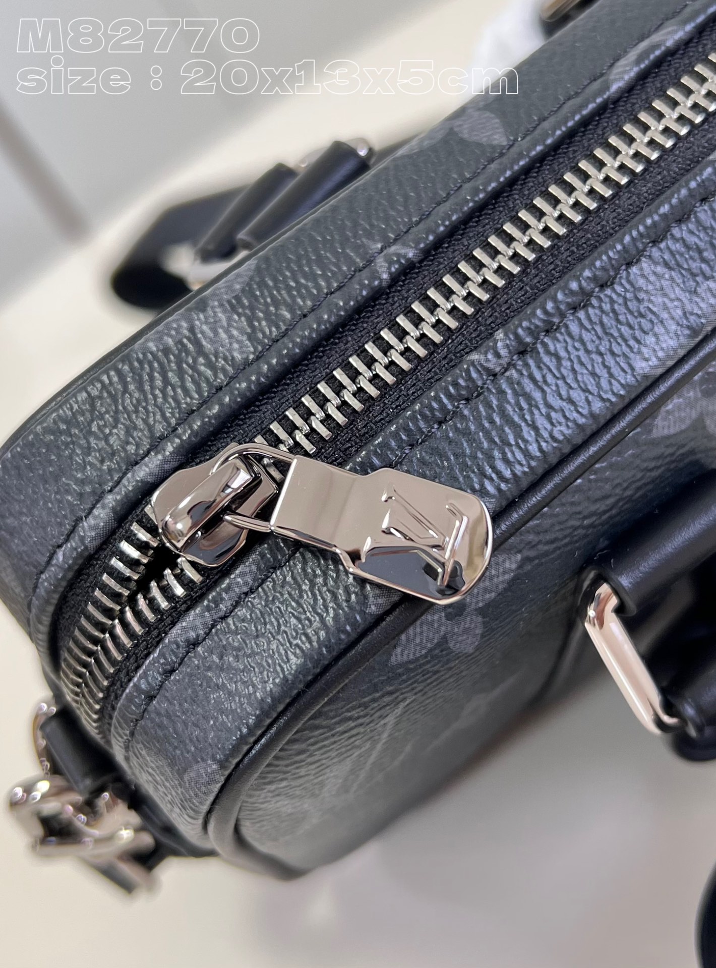 LV Bag