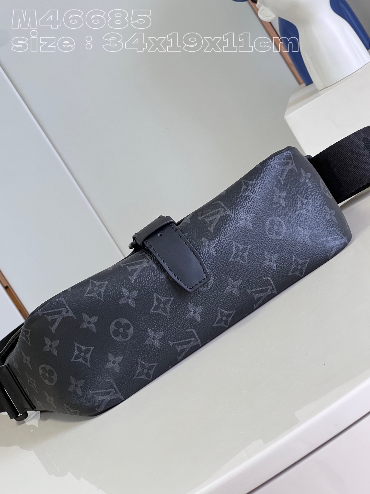LV Bag