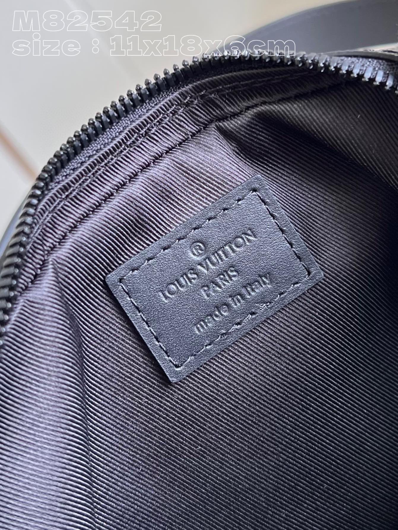 LV Bag