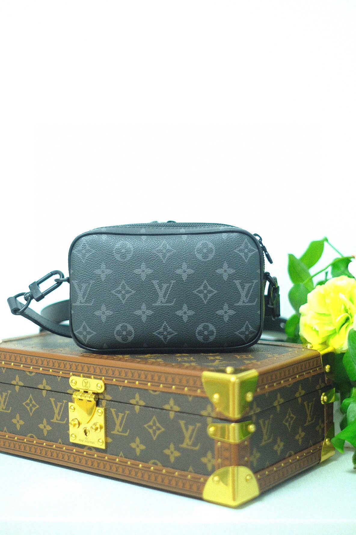 LV Bag