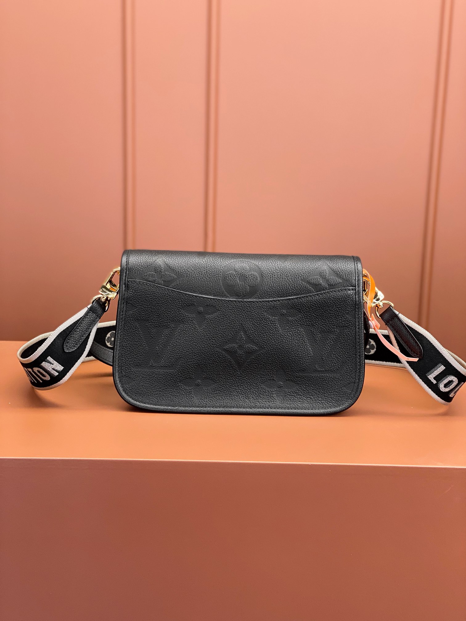 LV Bag