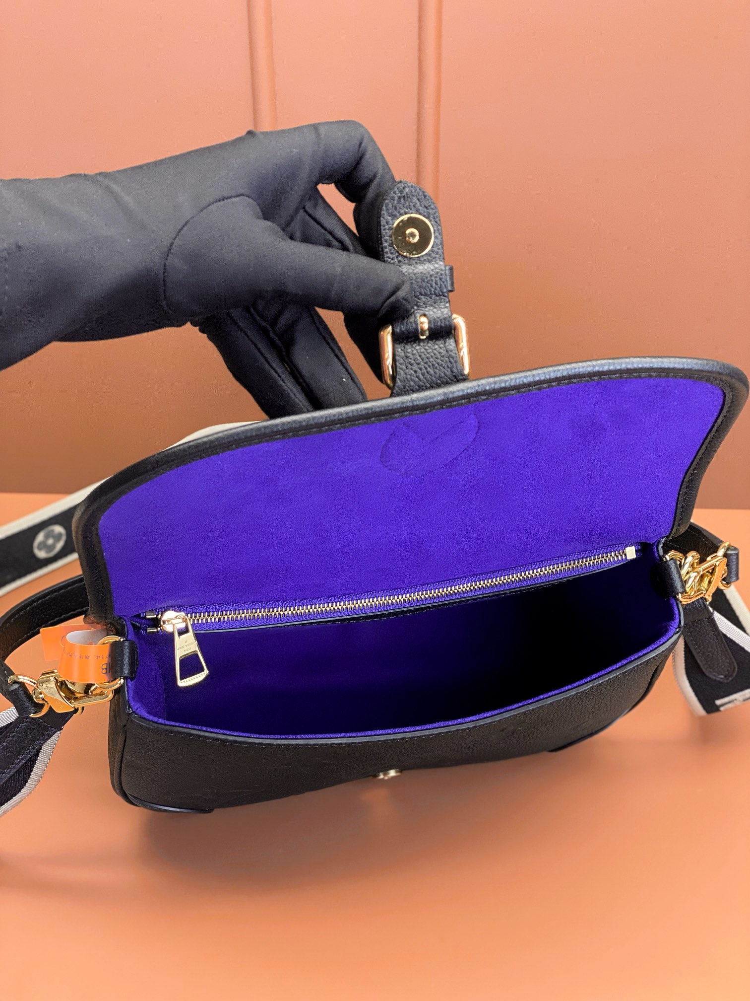 LV Bag
