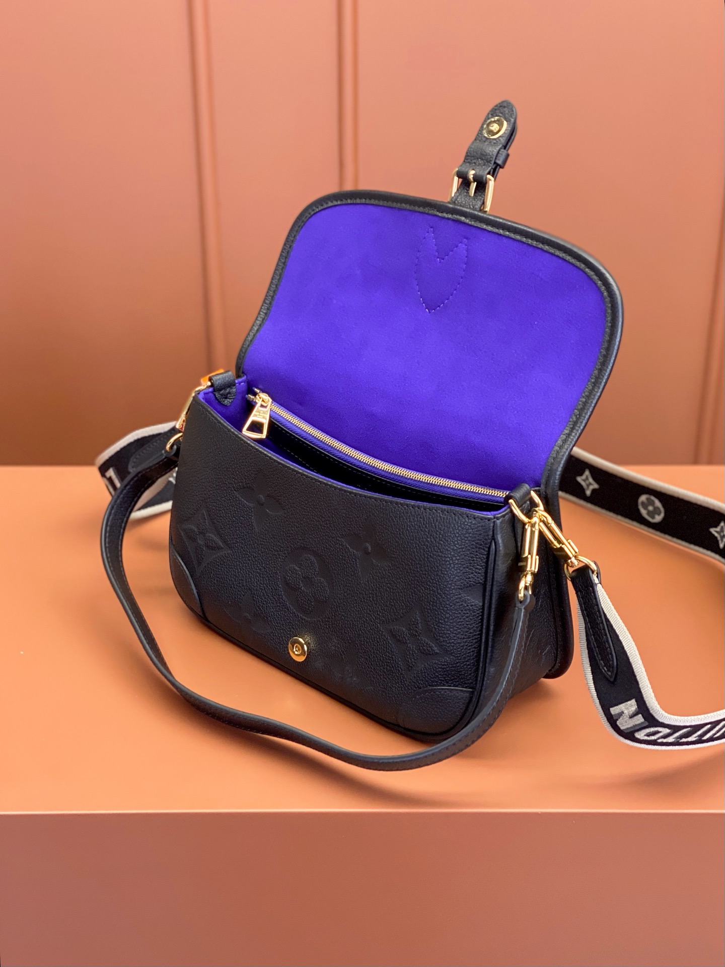 LV Bag