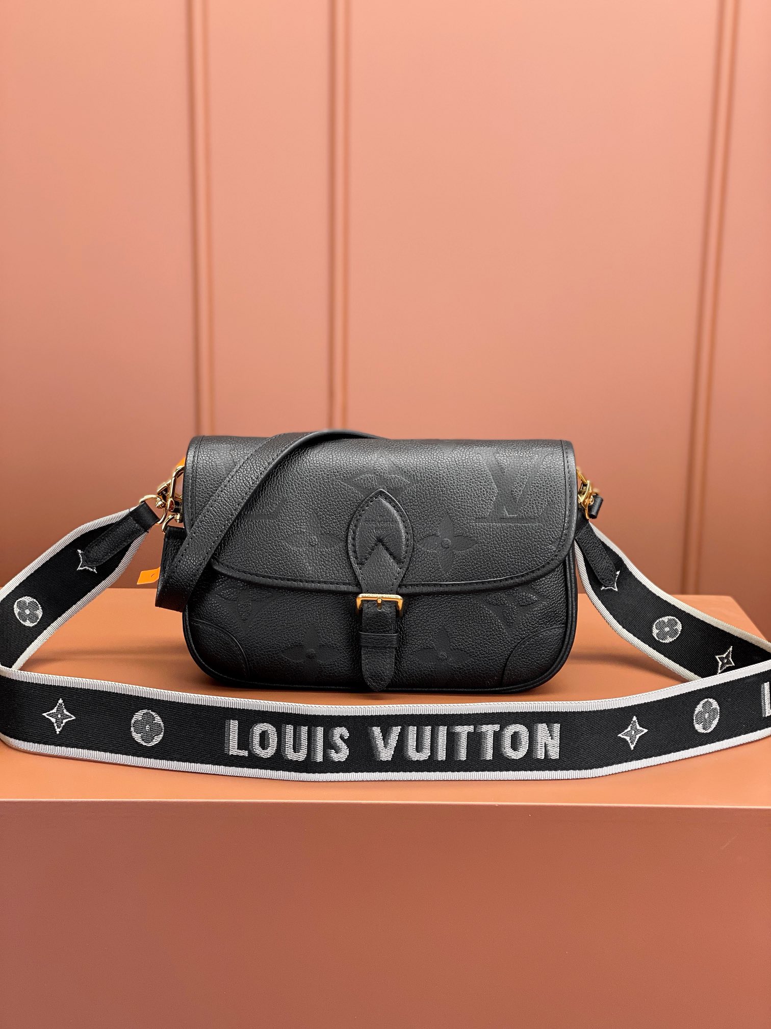 LV Bag