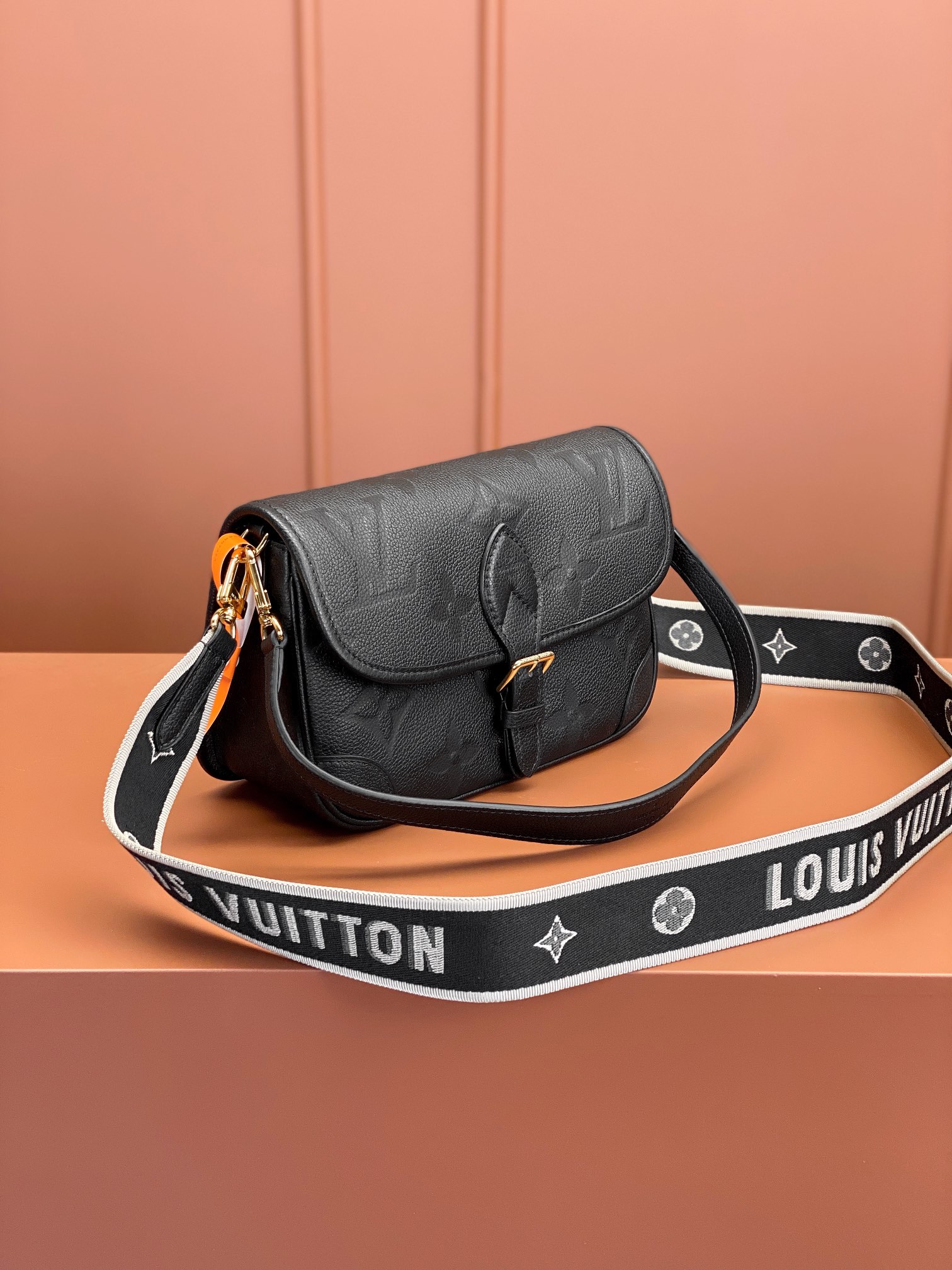 LV Bag