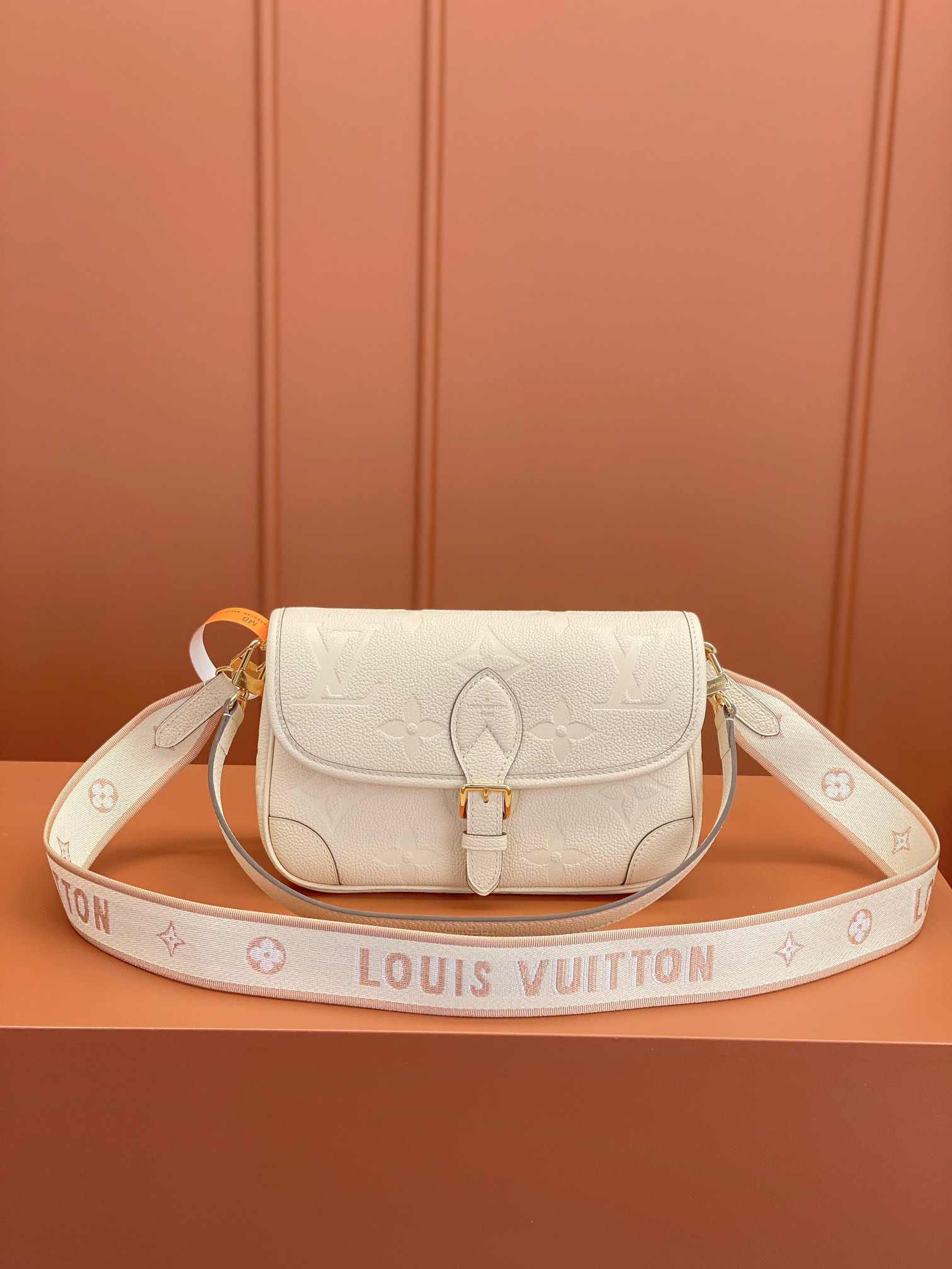 LV Bag