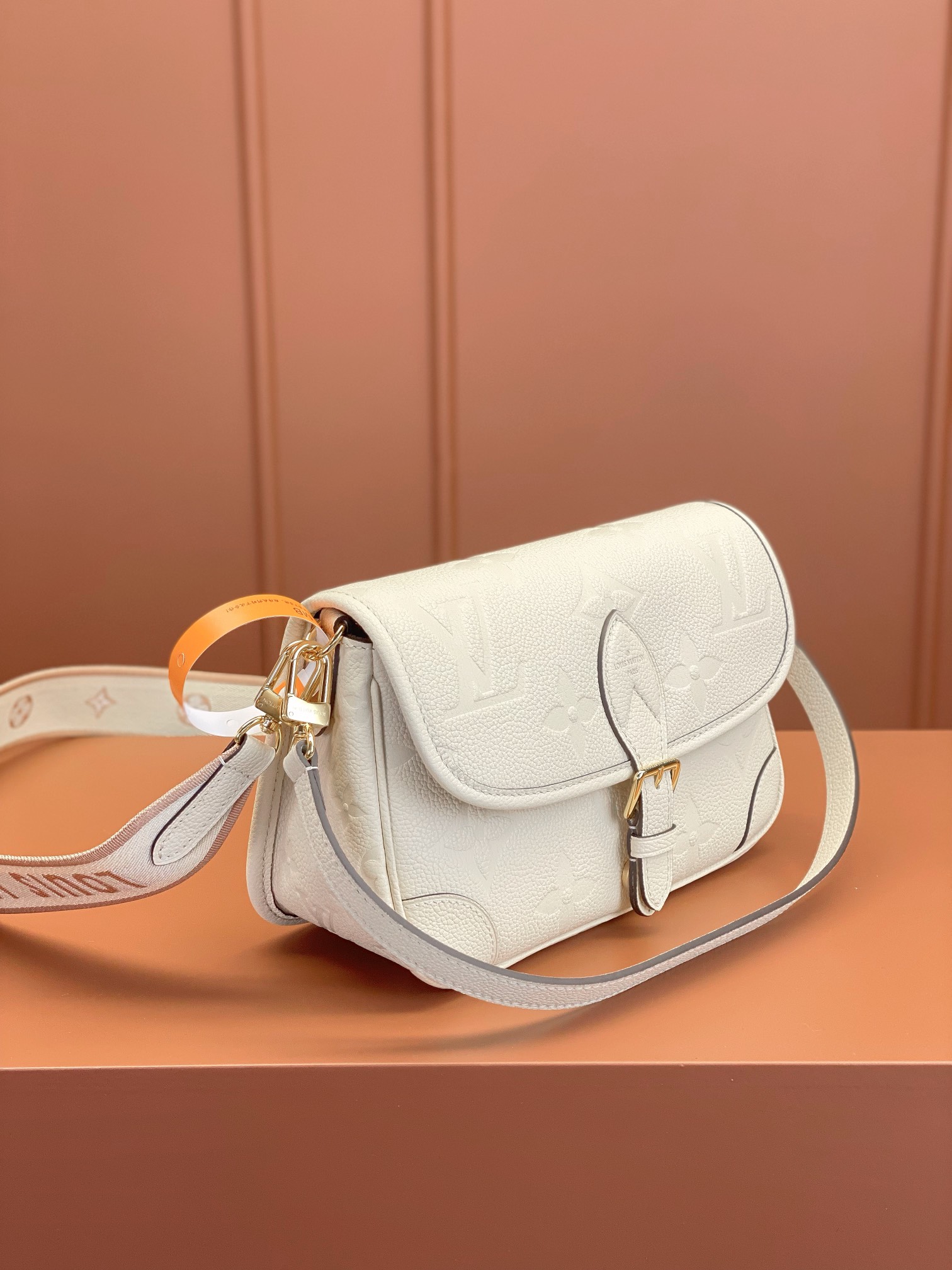LV Bag