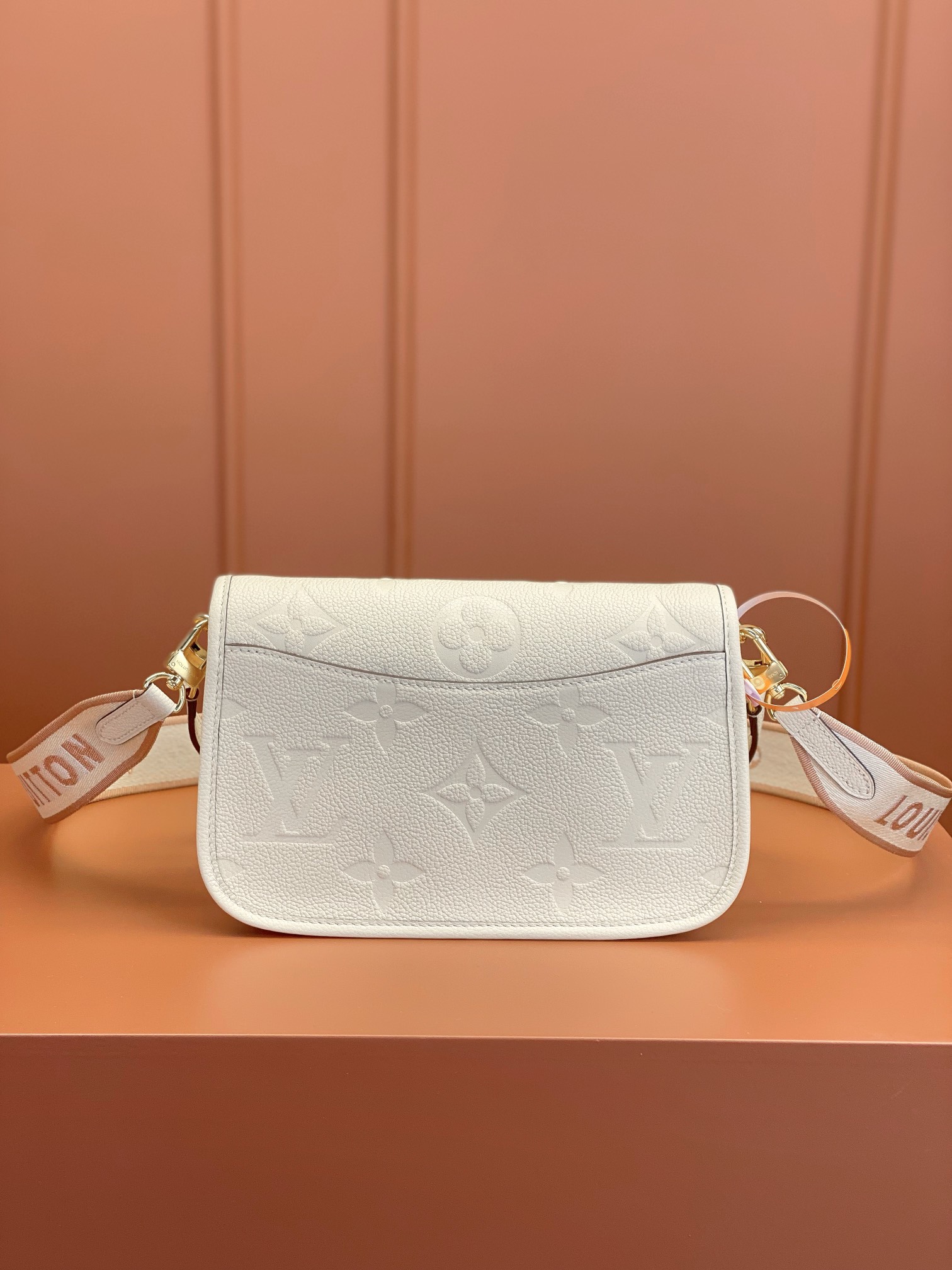 LV Bag