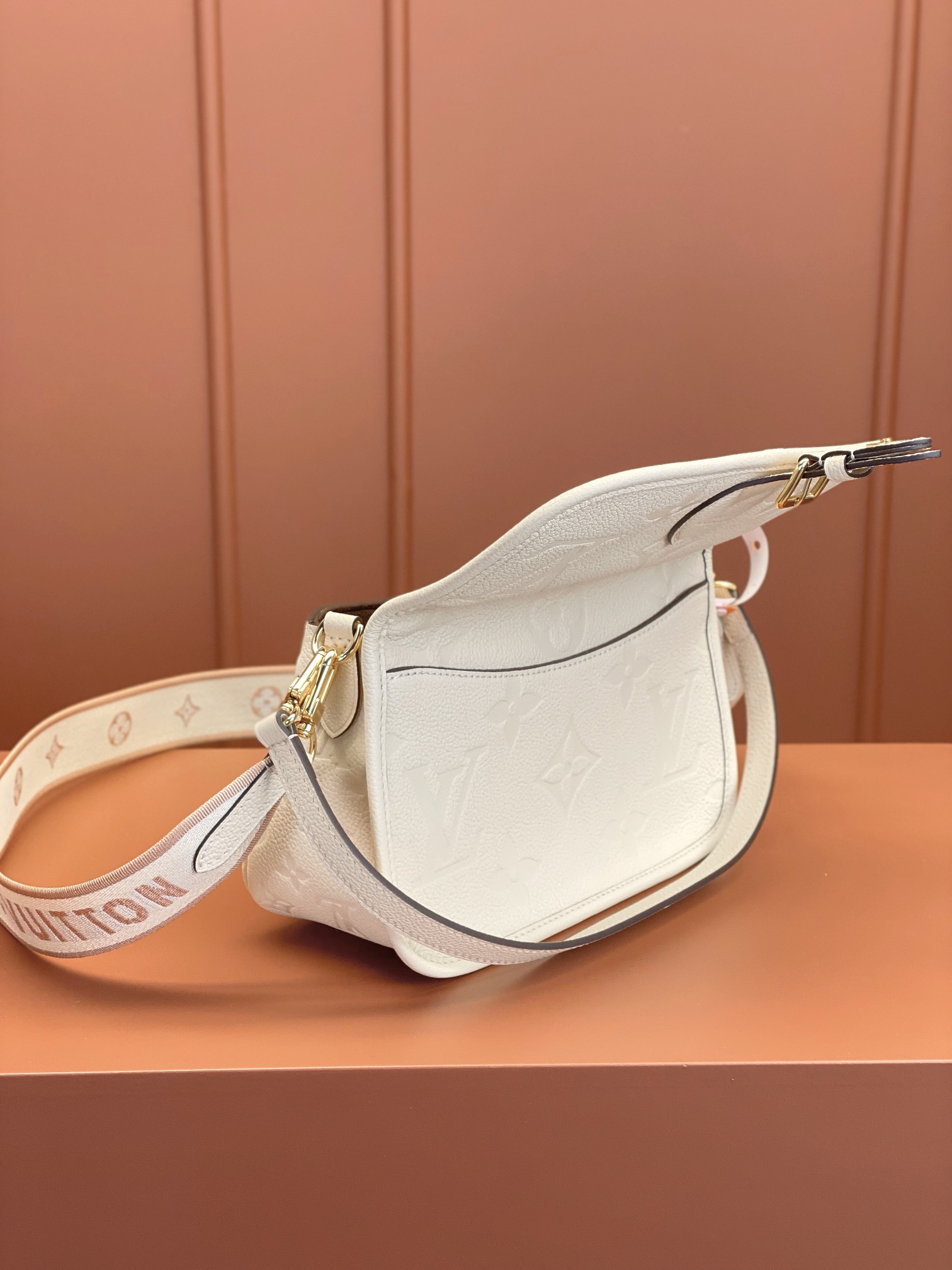 LV Bag