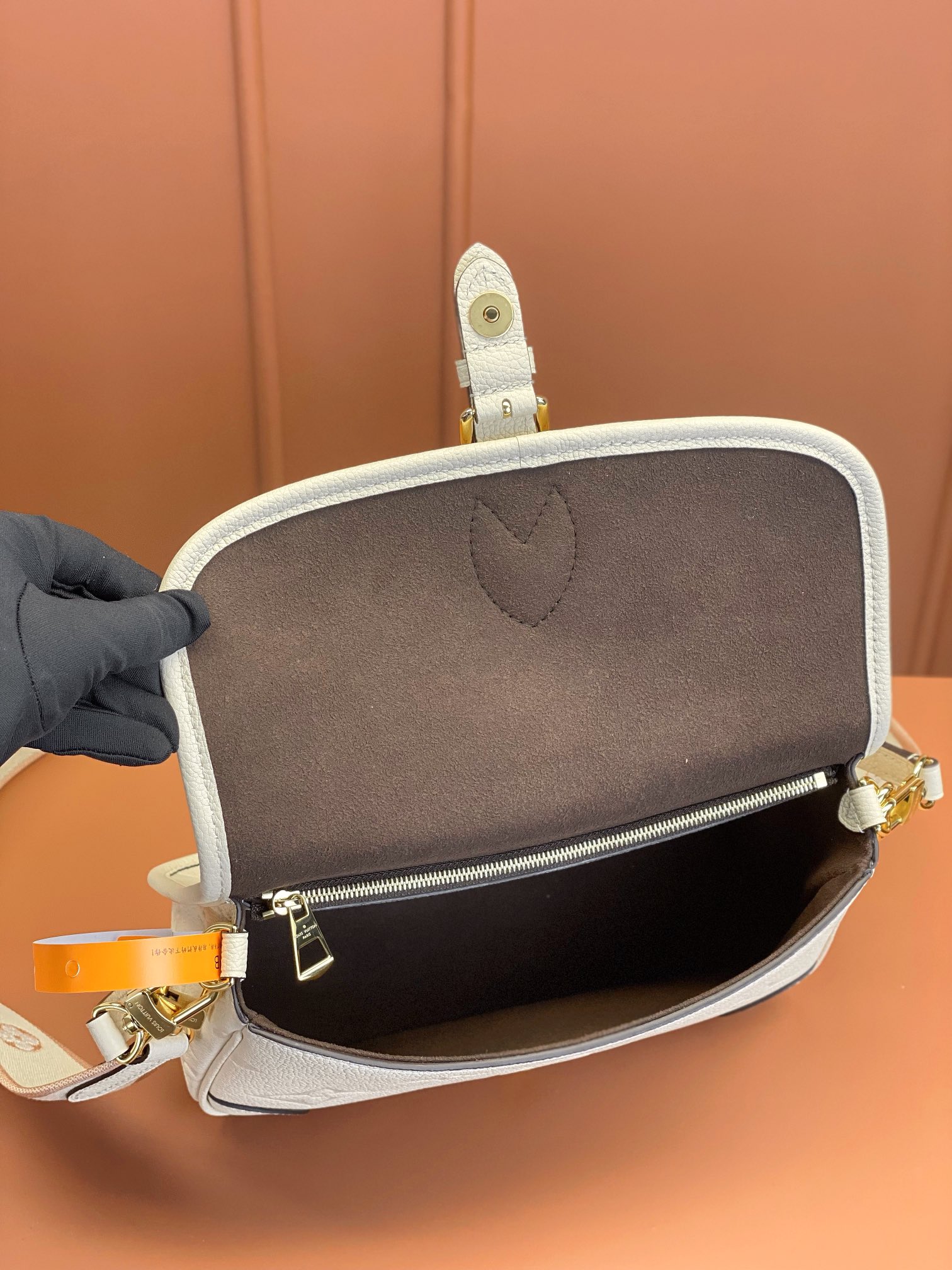 LV Bag