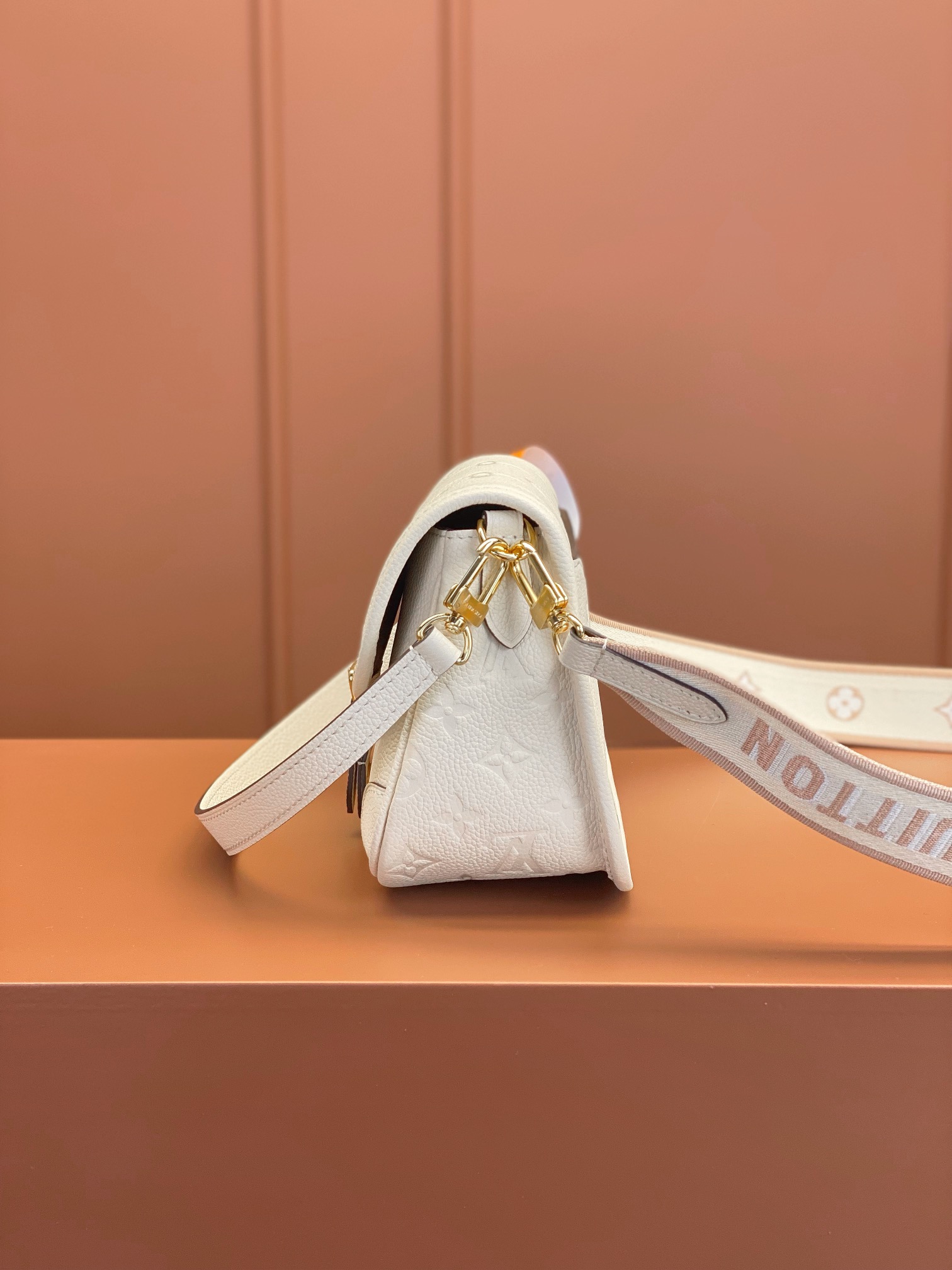 LV Bag