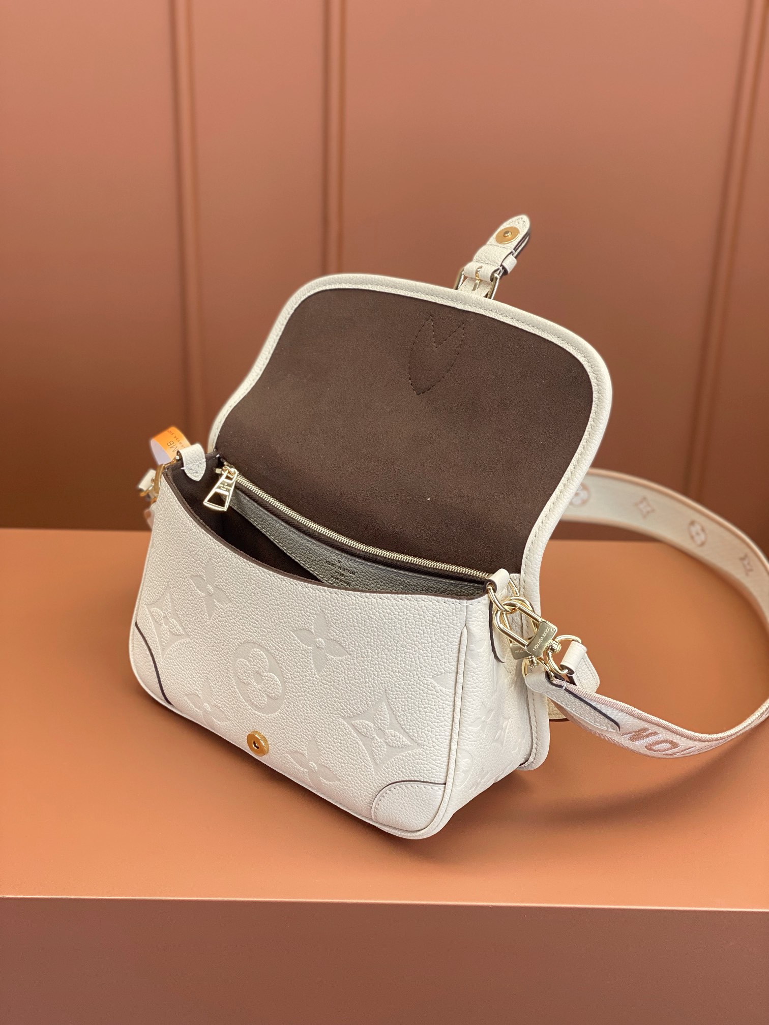 LV Bag