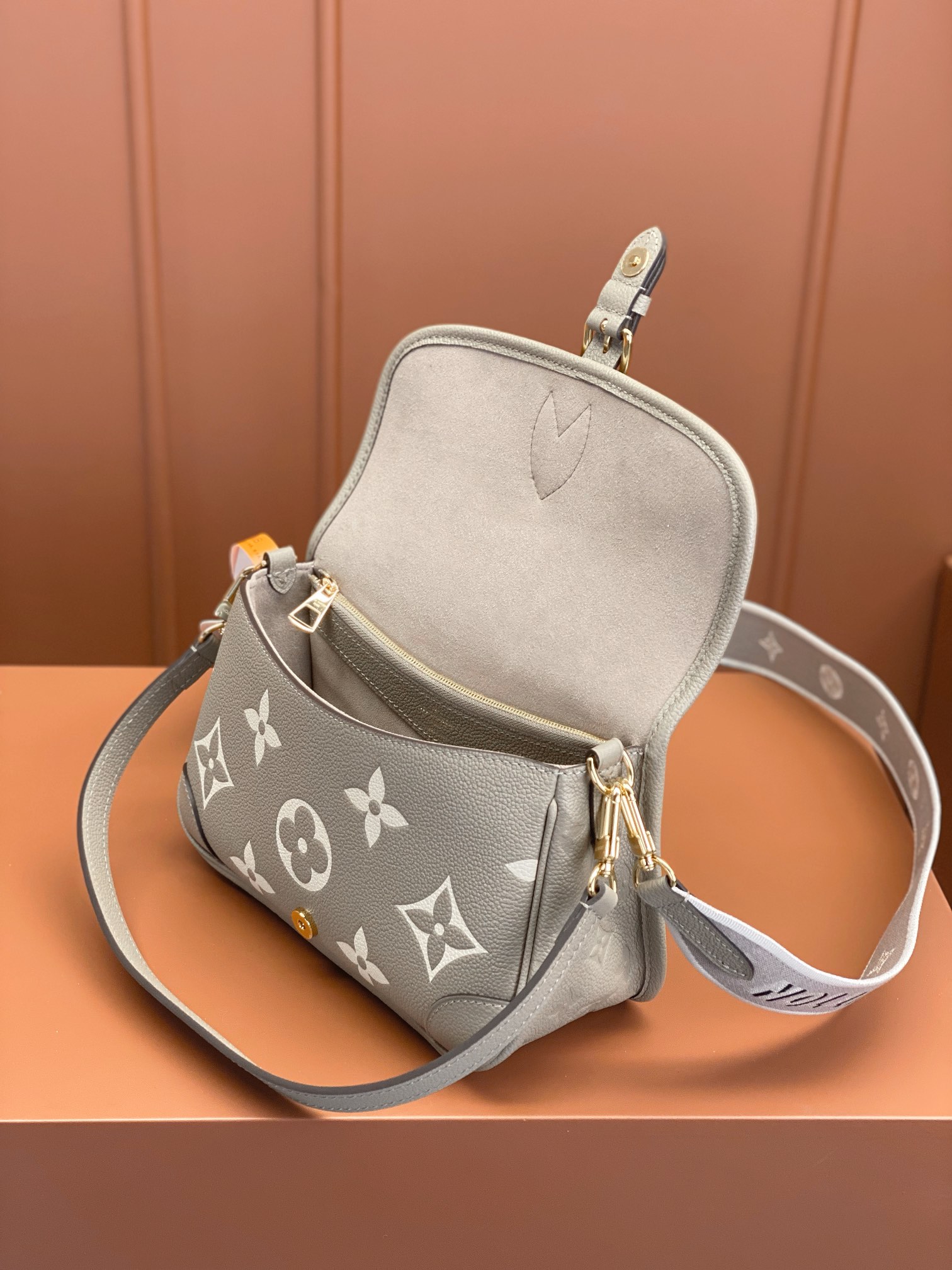 LV Bag