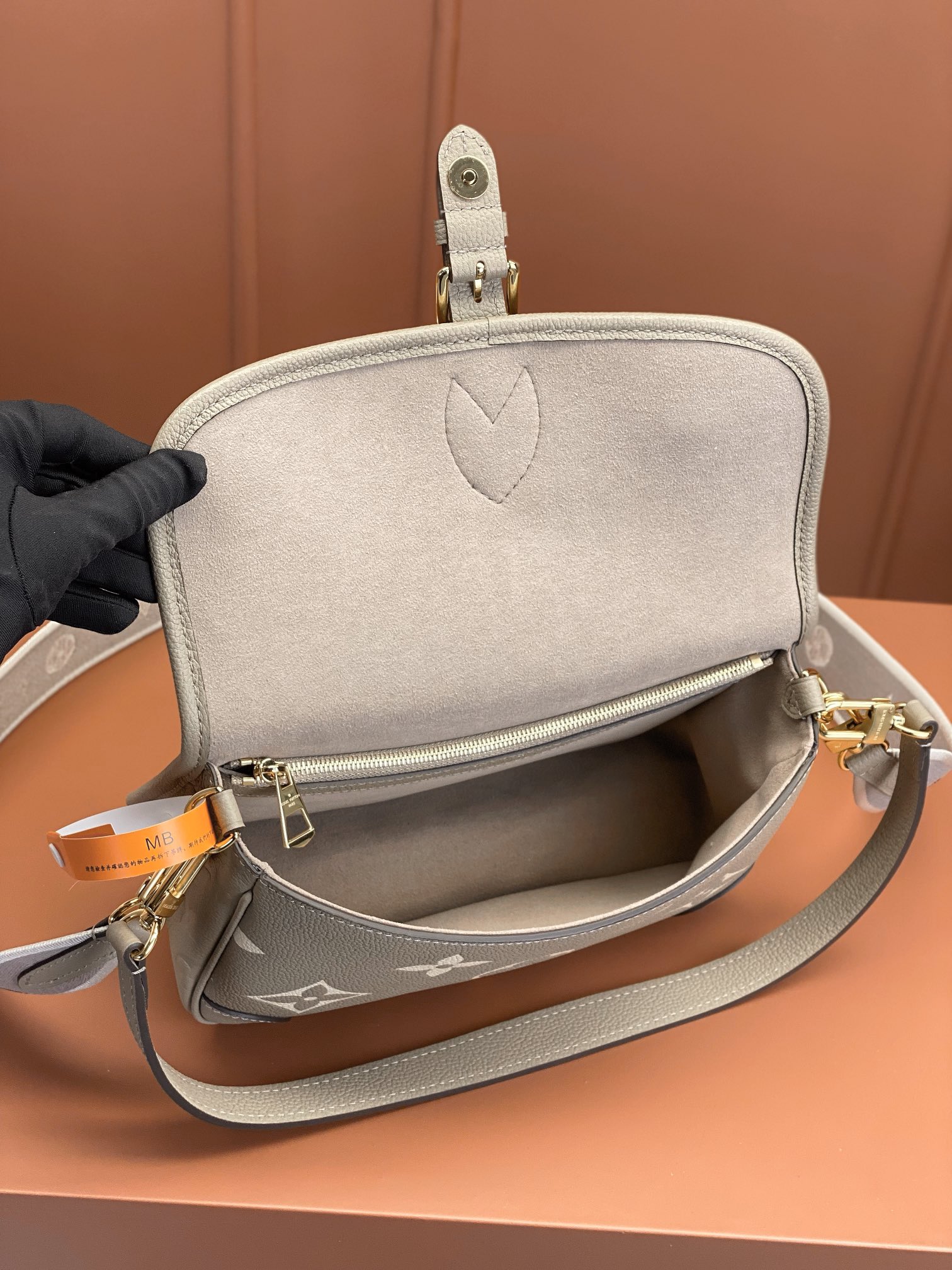 LV Bag