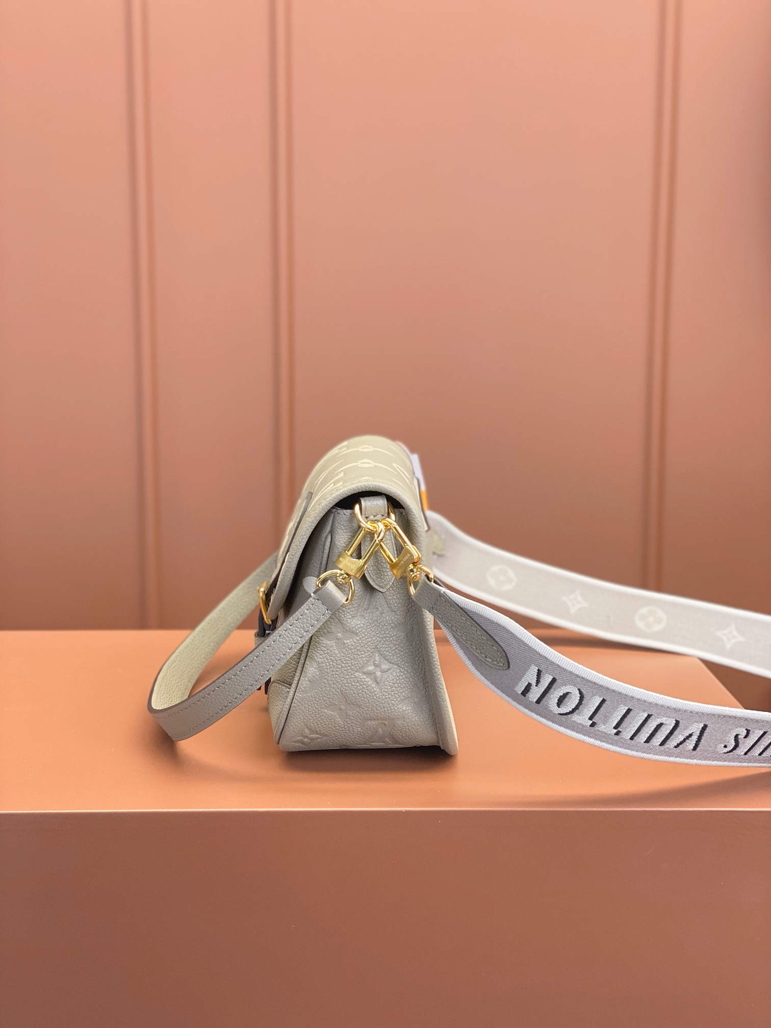 LV Bag