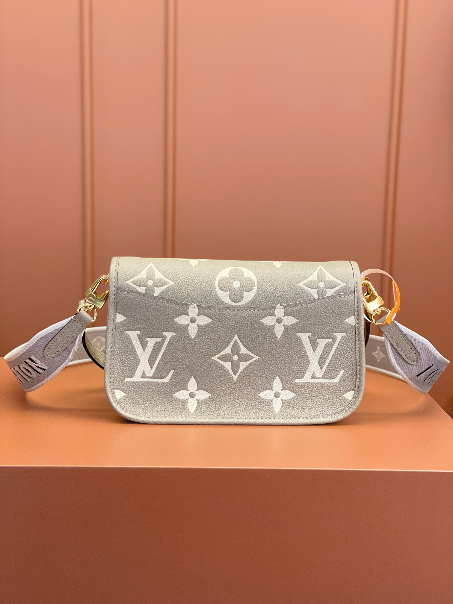 LV Bag