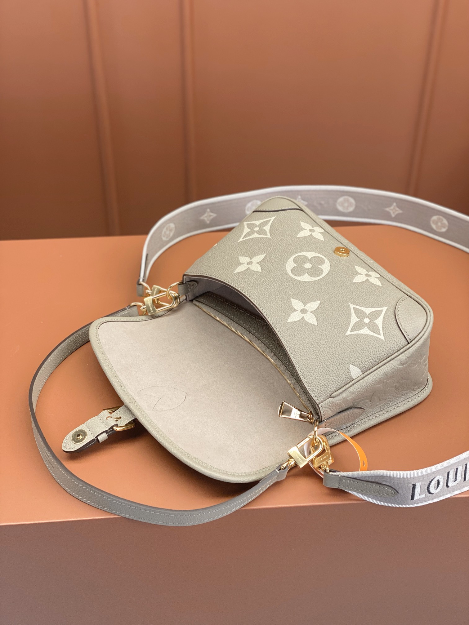 LV Bag