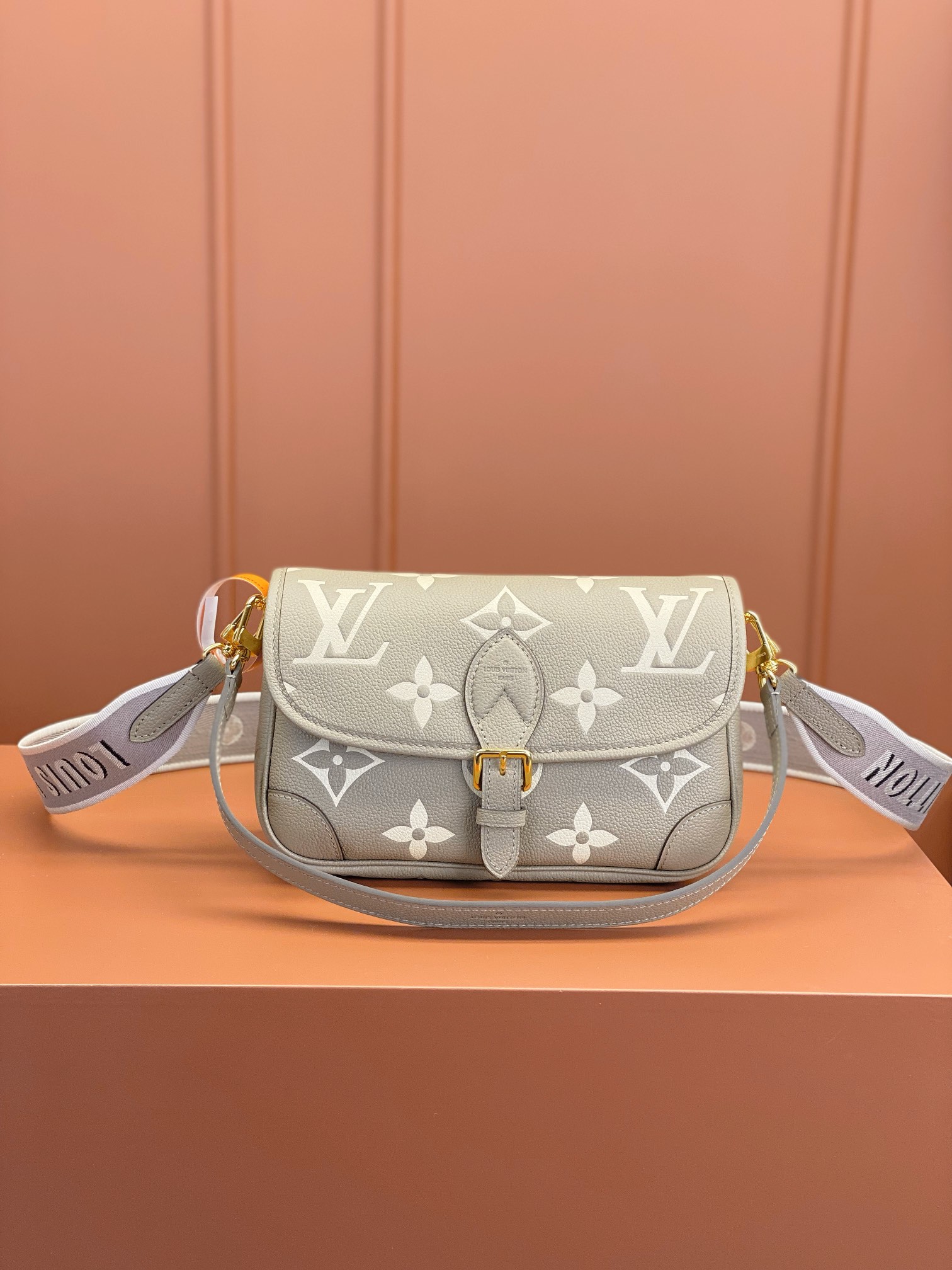 LV Bag