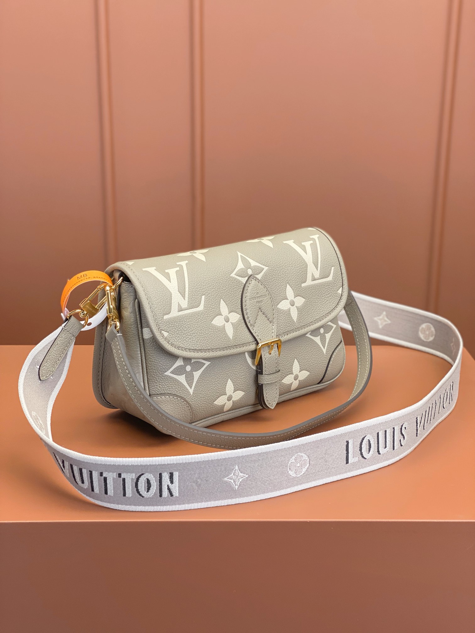 LV Bag