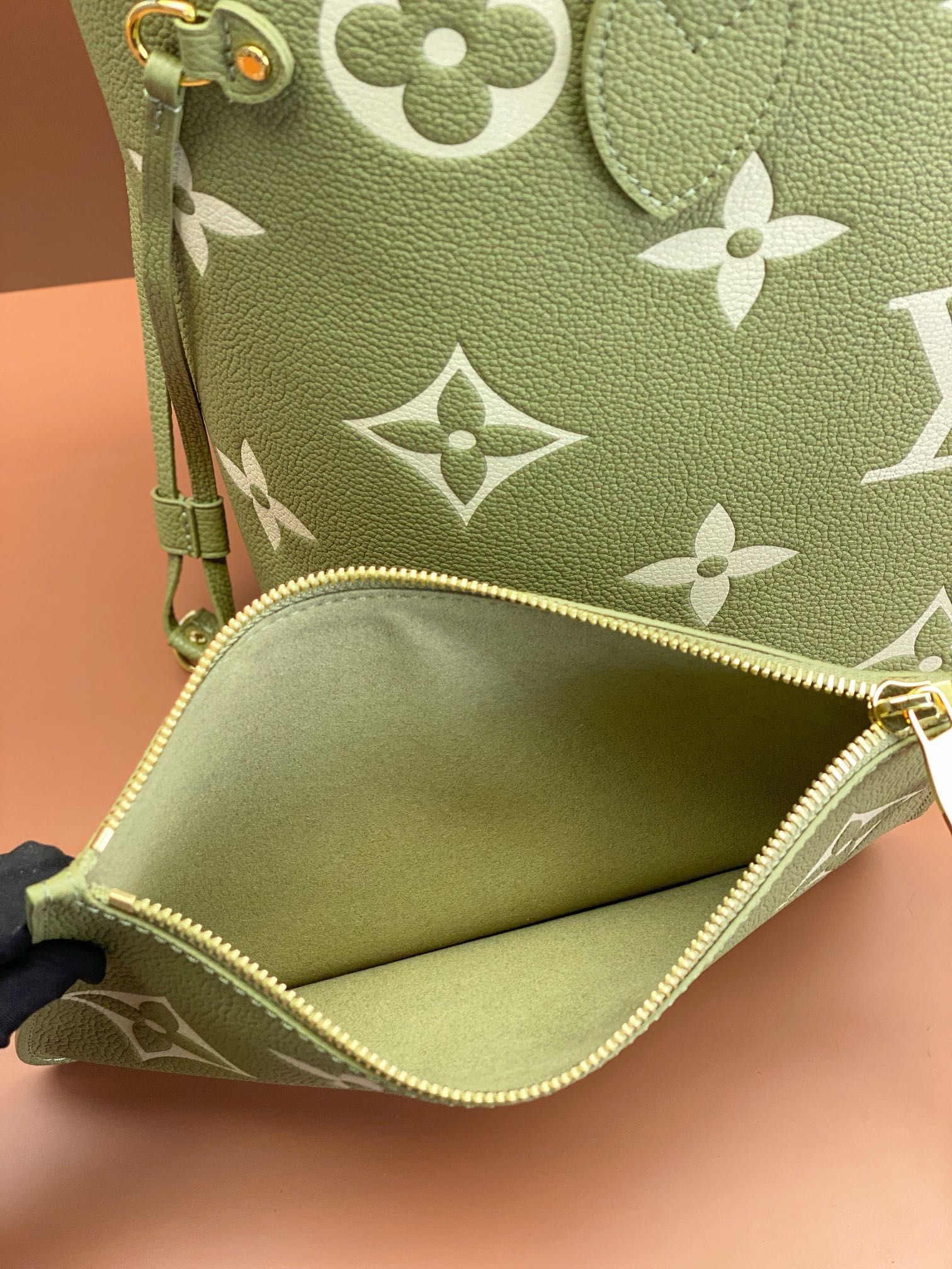 LV Bag