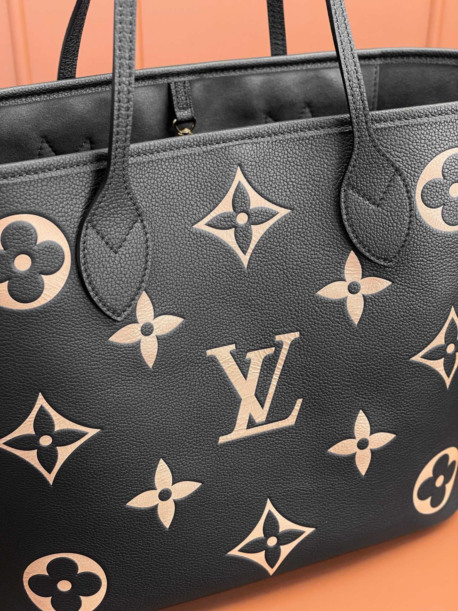LV Bag