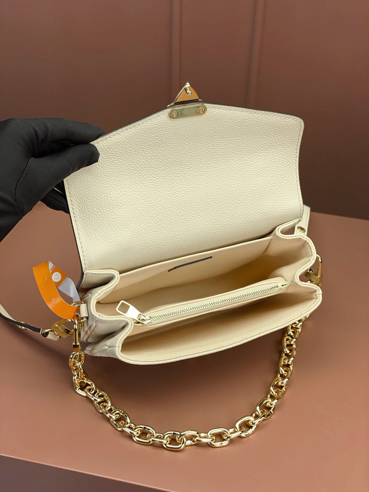 LV Bag