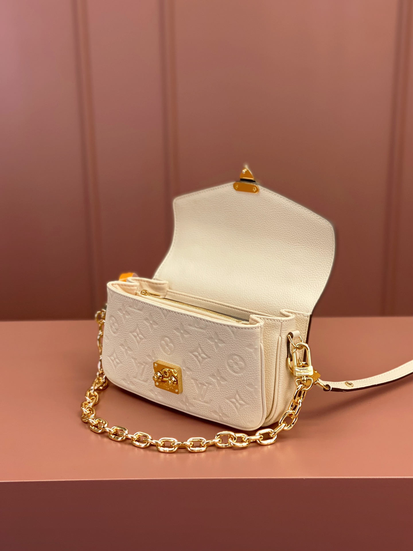 LV Bag