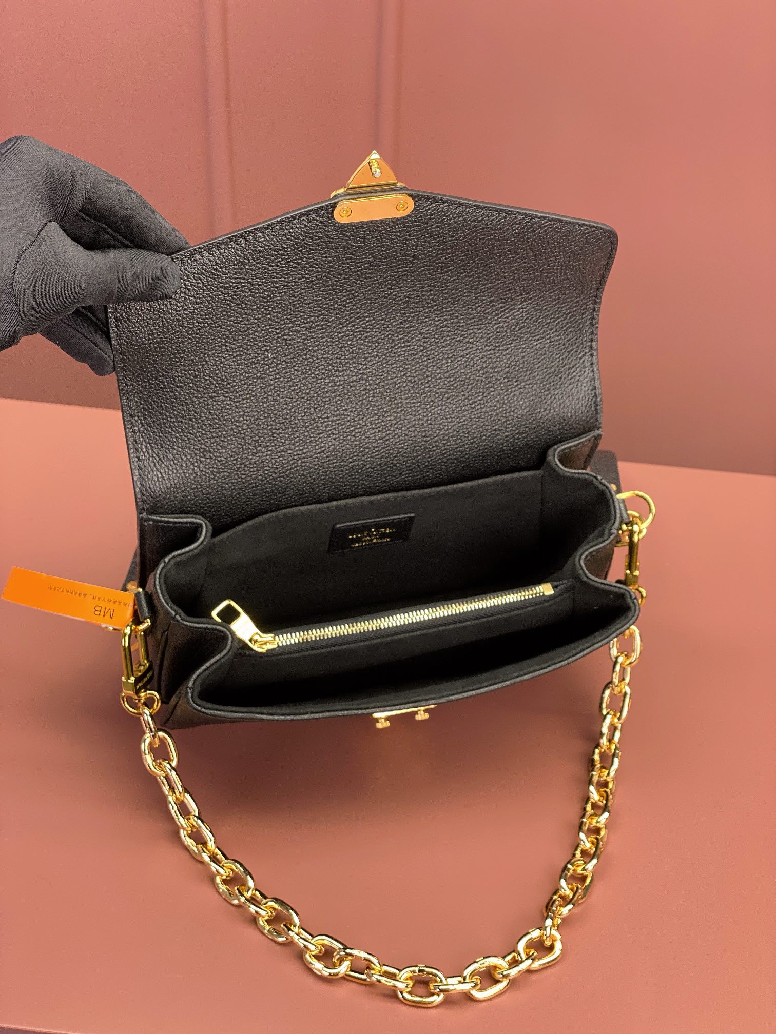 LV Bag