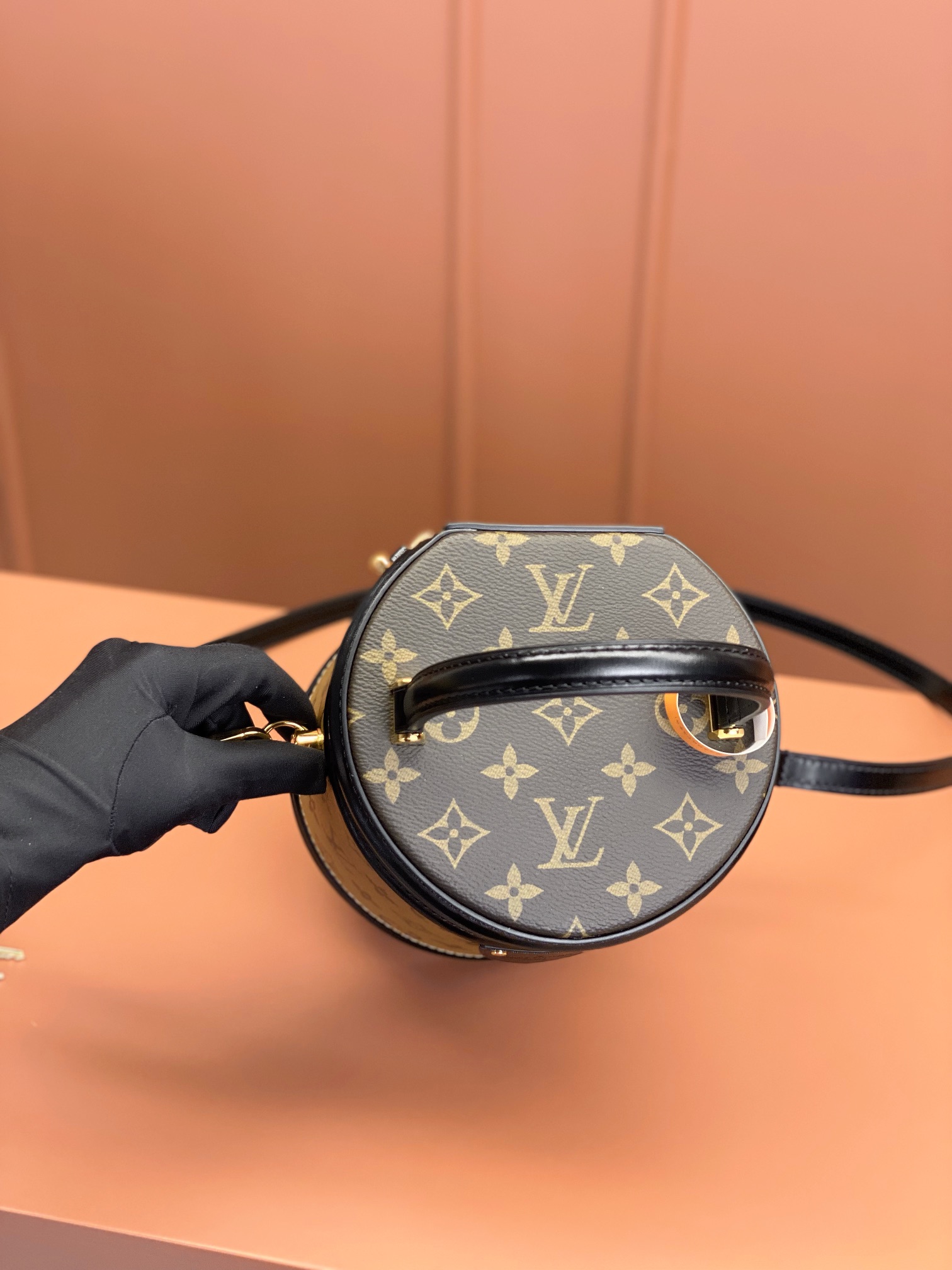 LV Bag