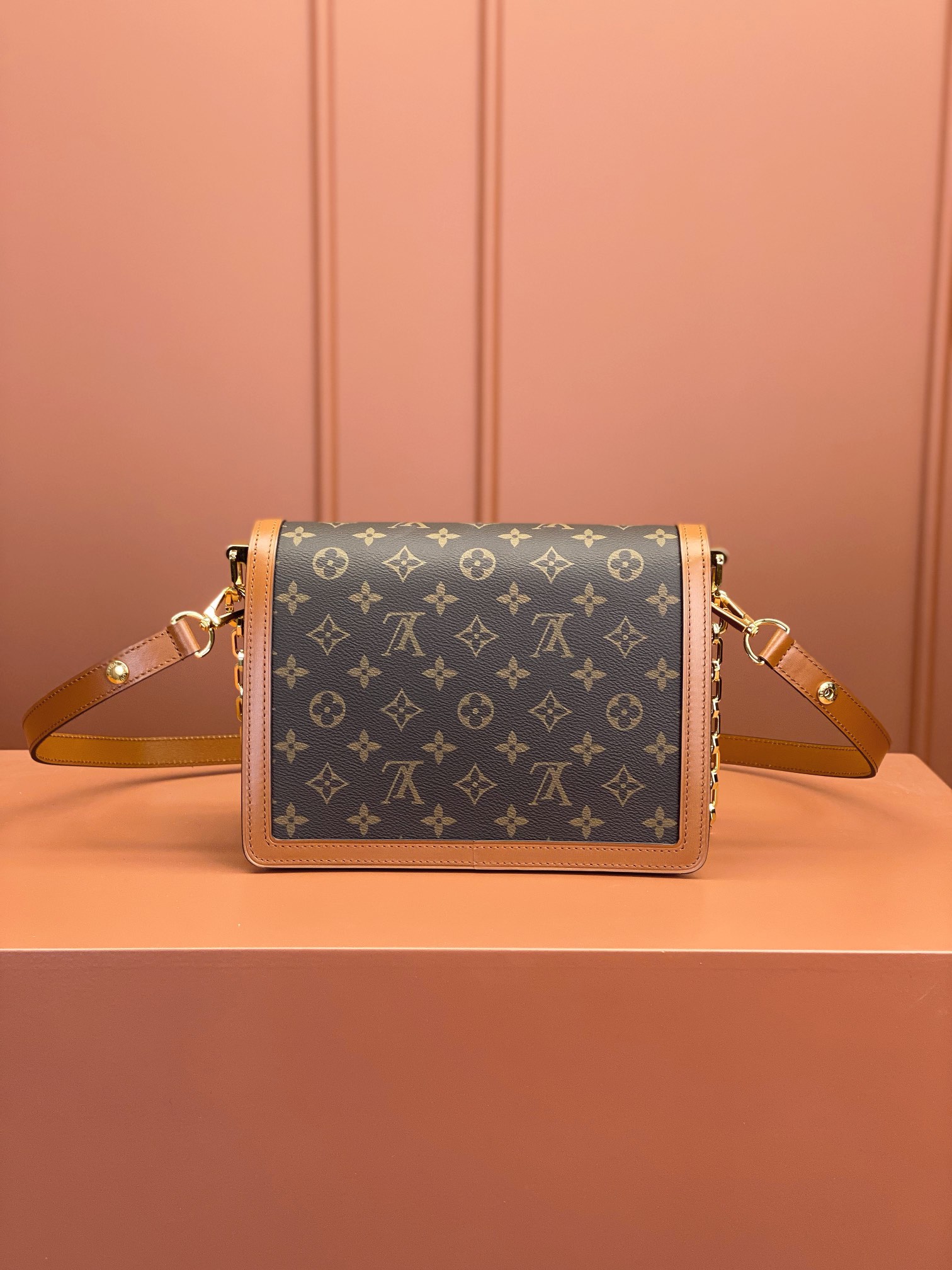 LV Bag