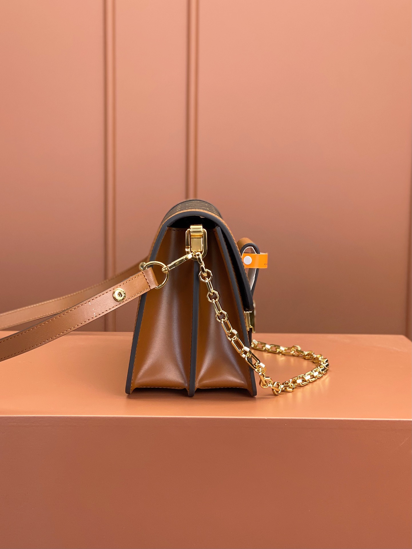 LV Bag