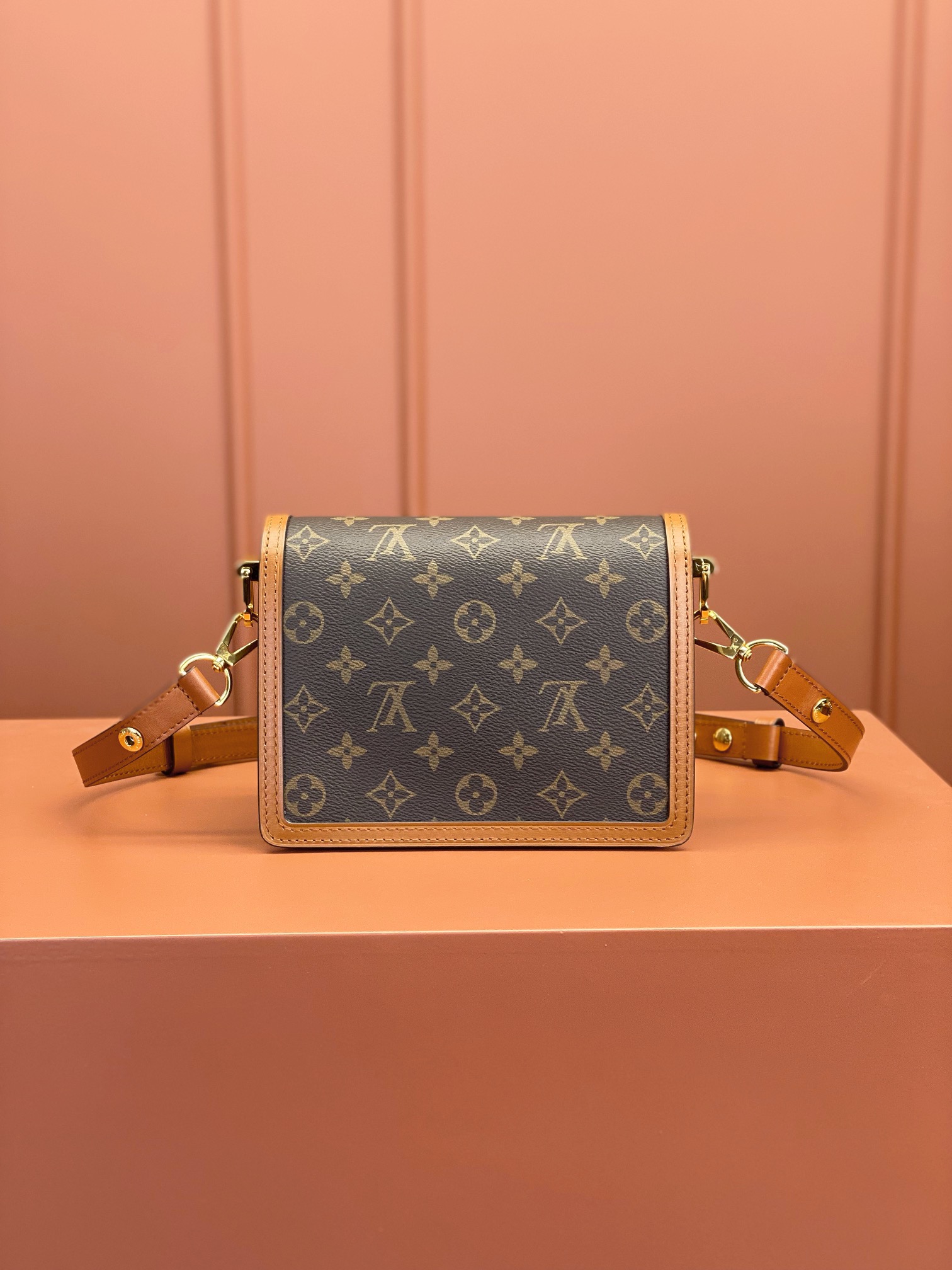 LV Bag