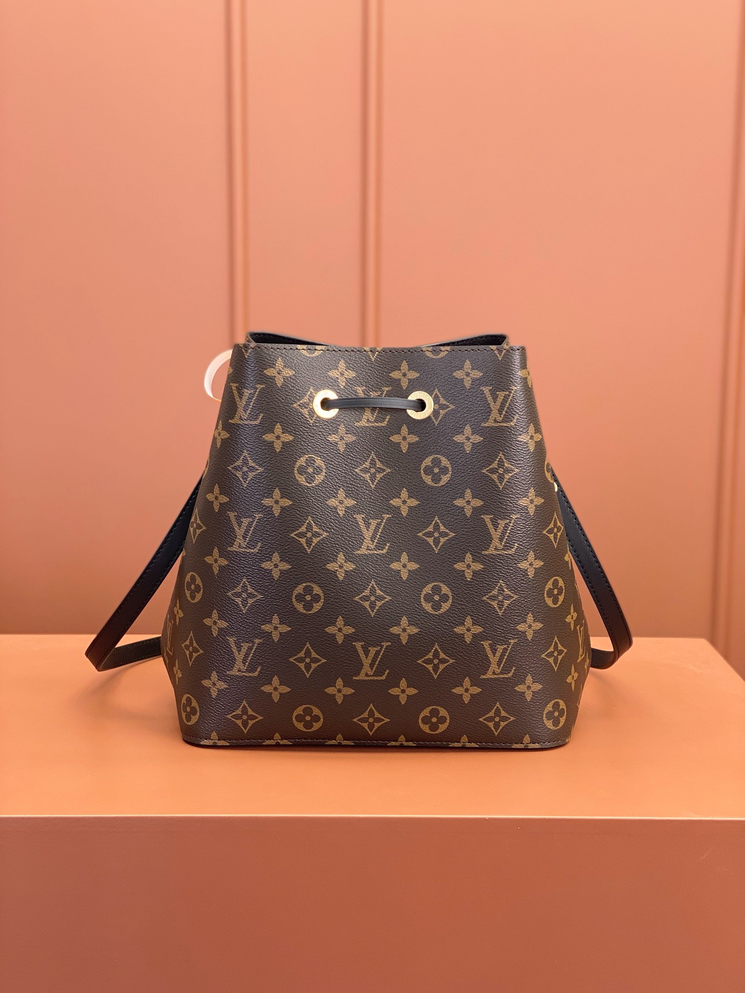 LV Bag