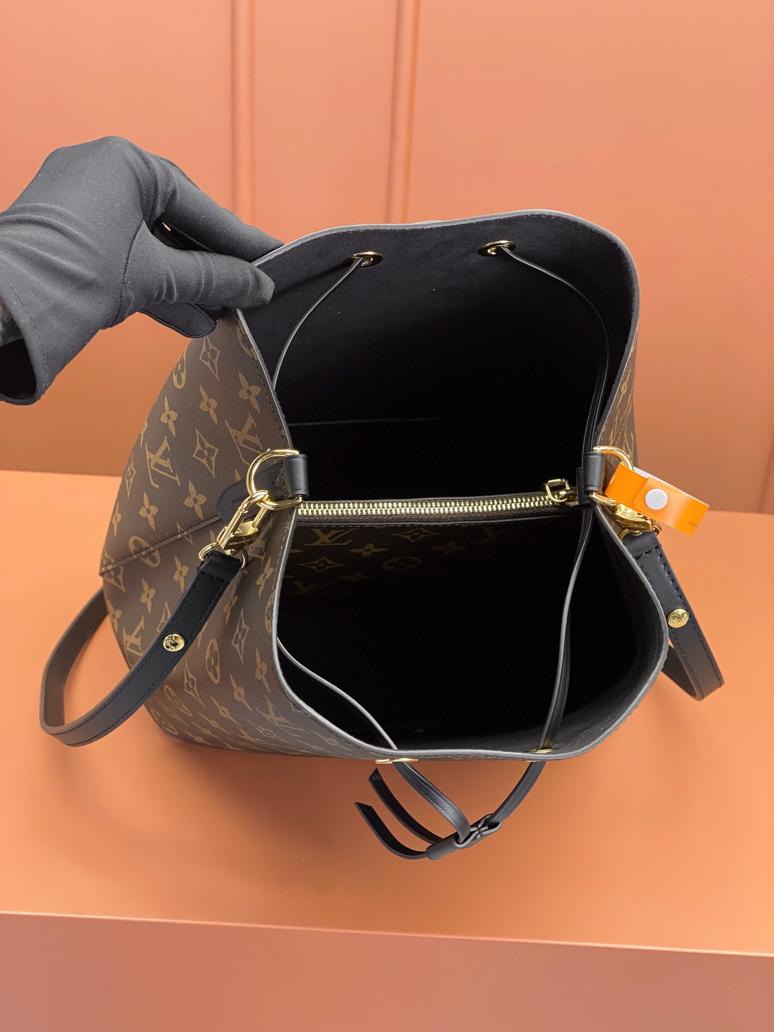 LV Bag
