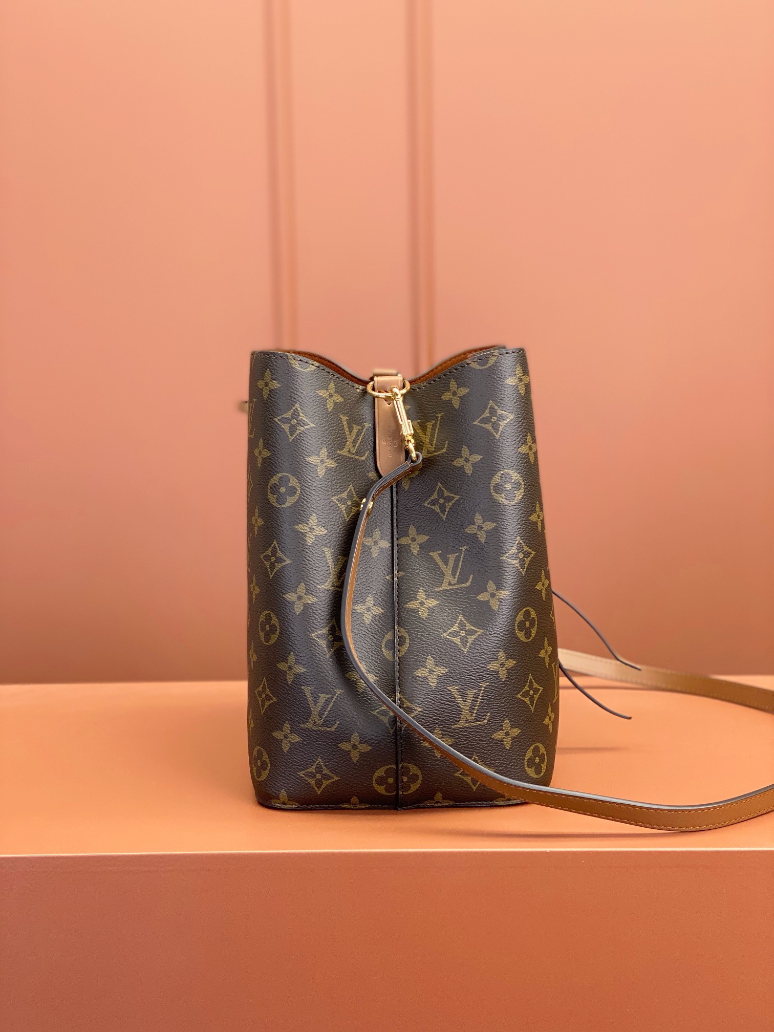 LV Bag